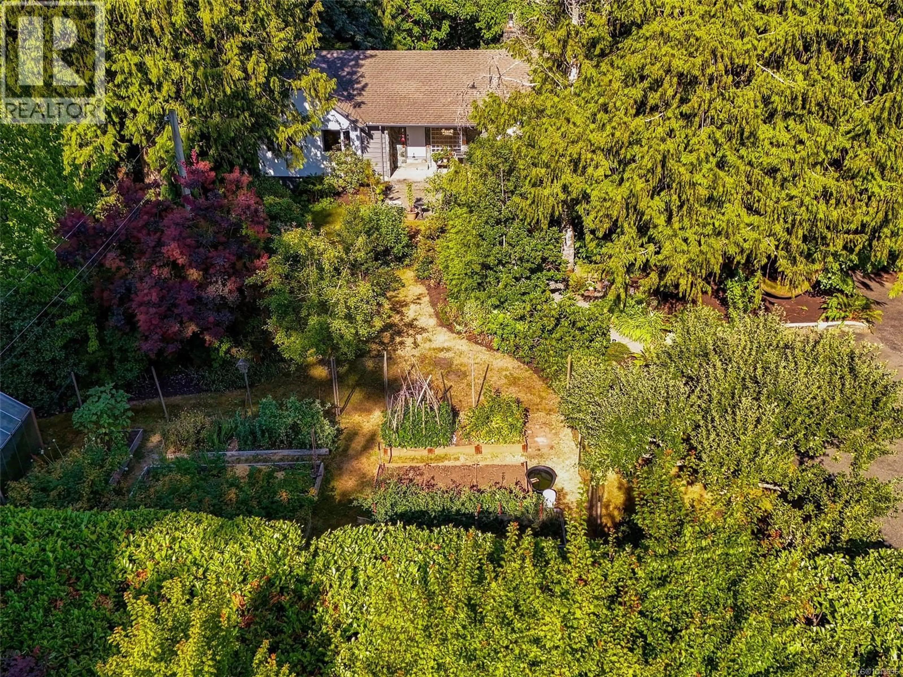 A pic from outside/outdoor area/front of a property/back of a property/a pic from drone, forest/trees view for 6232 RODOLPH ROAD, Central Saanich British Columbia V8Z5V8