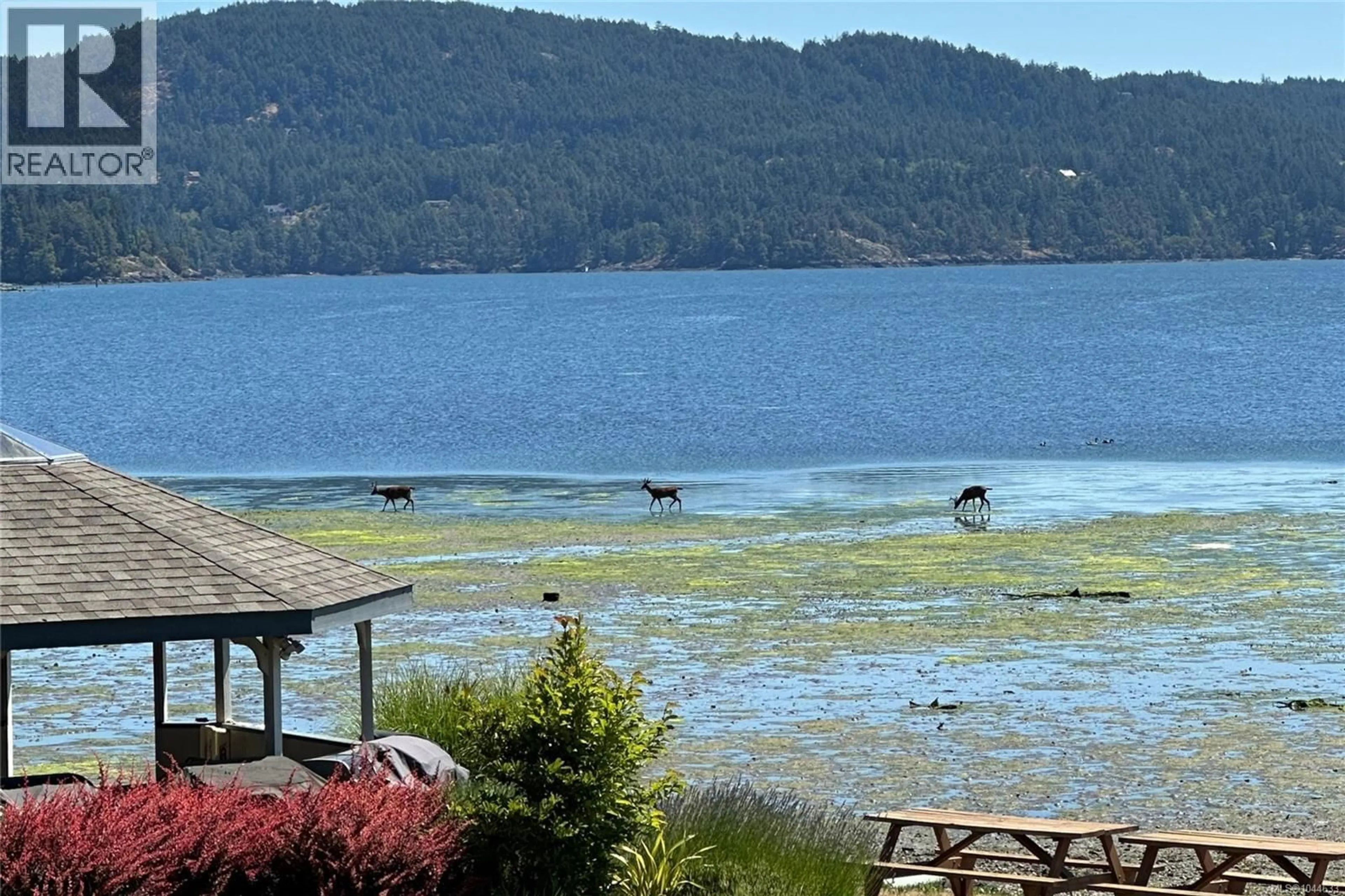 Patio, water/lake/river/ocean view for 205 - 2057 KALTASIN ROAD, Sooke British Columbia V9Z0B9