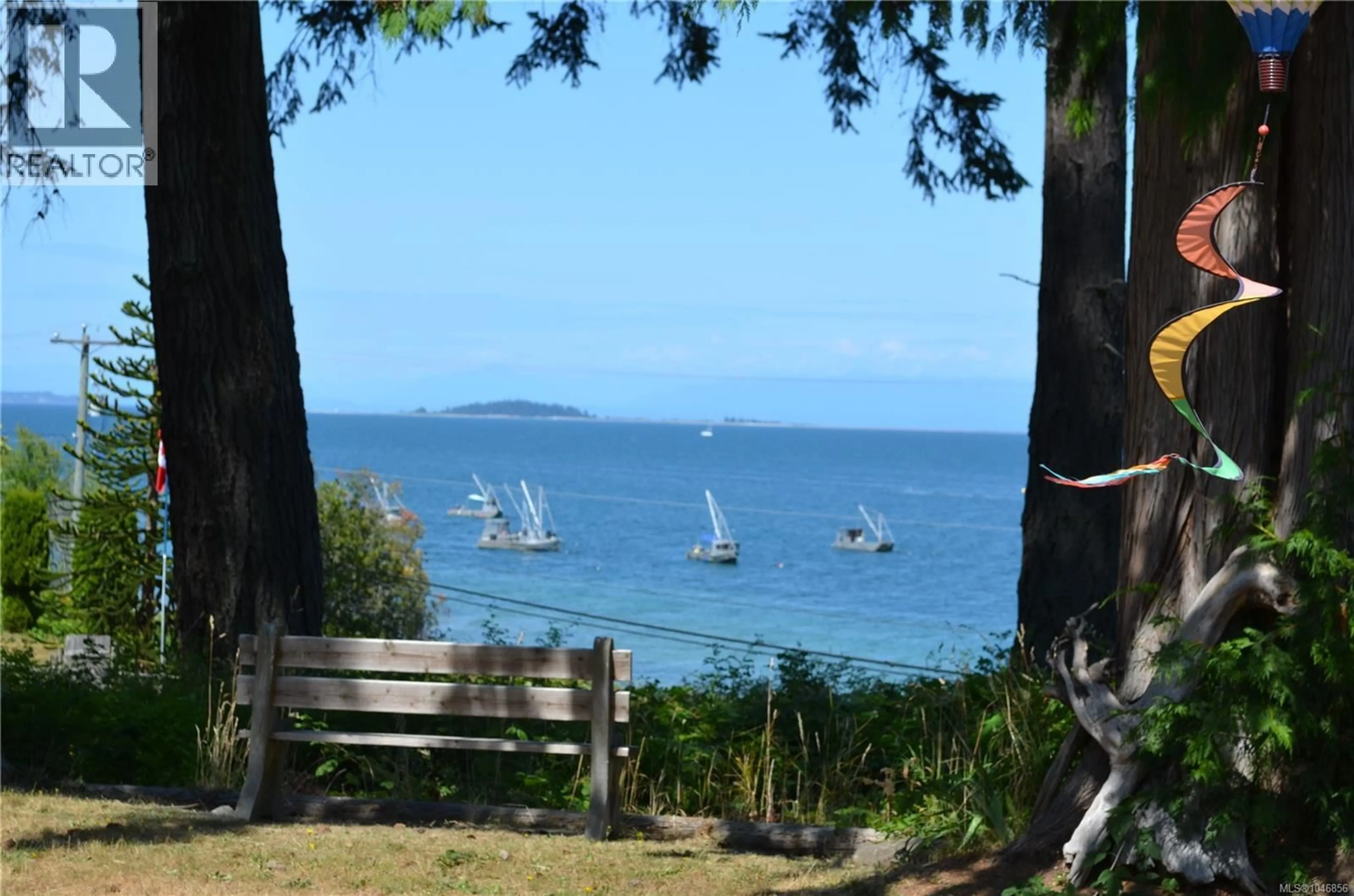 Blurry image for 6249/6259 ISLAND HIGHWAY SOUTH, Union Bay British Columbia V0R3B0