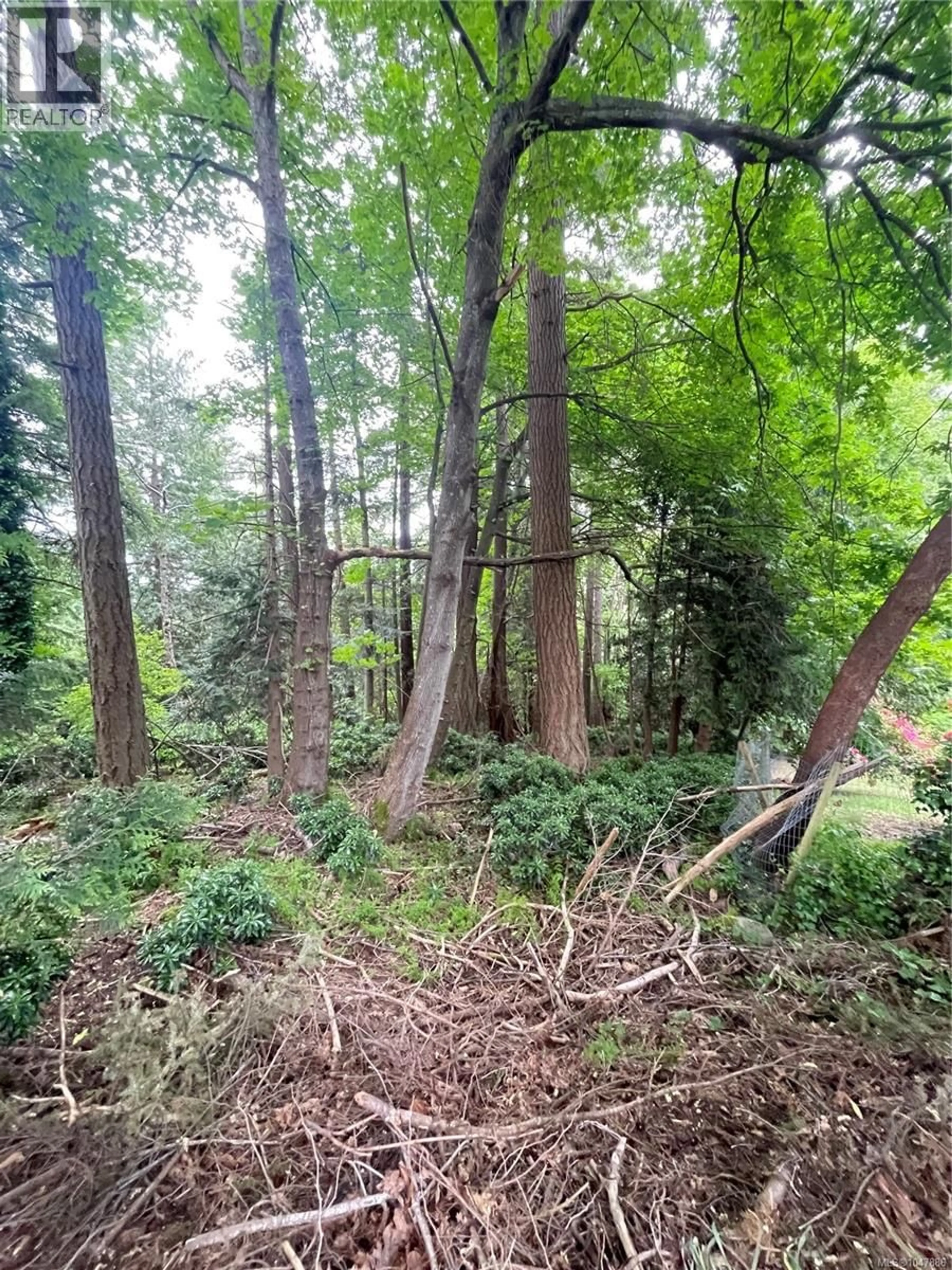 A pic from outside/outdoor area/front of a property/back of a property/a pic from drone, forest/trees view for 4912 LOCHSIDE DRIVE, Saanich British Columbia V8Y2E4