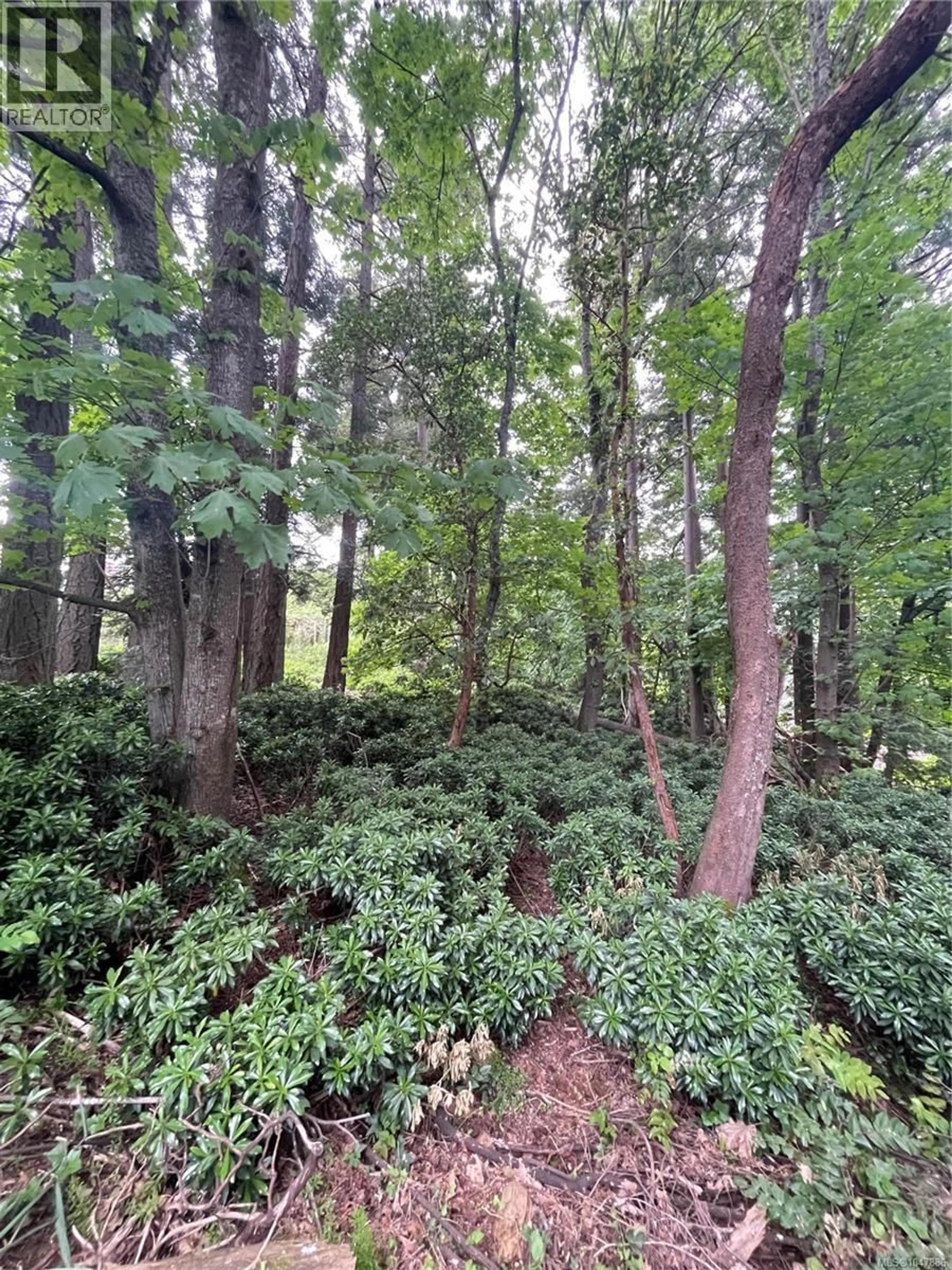 A pic from outside/outdoor area/front of a property/back of a property/a pic from drone, forest/trees view for 4912 LOCHSIDE DRIVE, Saanich British Columbia V8Y2E4