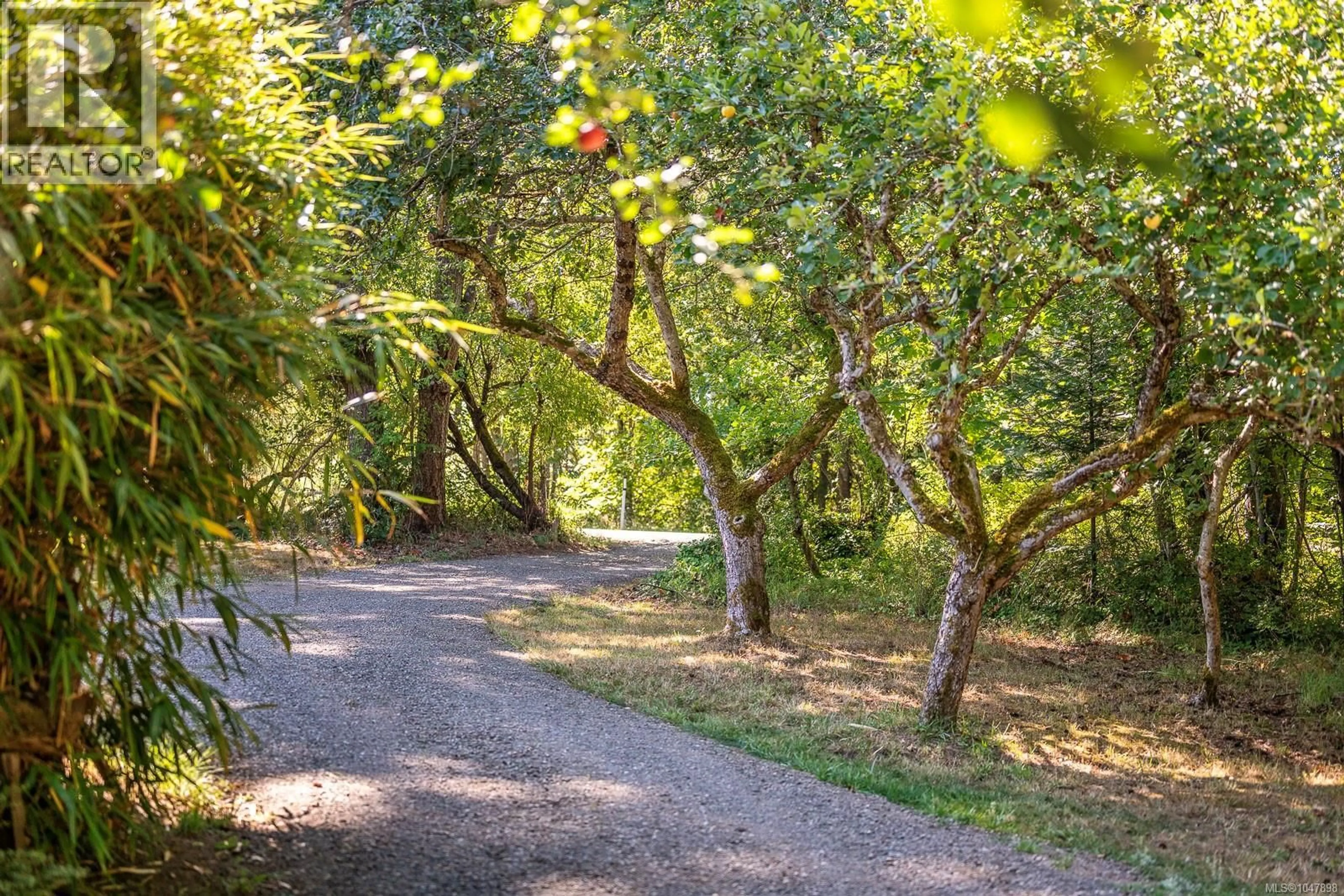 Patio, forest/trees view for 2496 BACK ROAD, Courtenay British Columbia V9J9G8