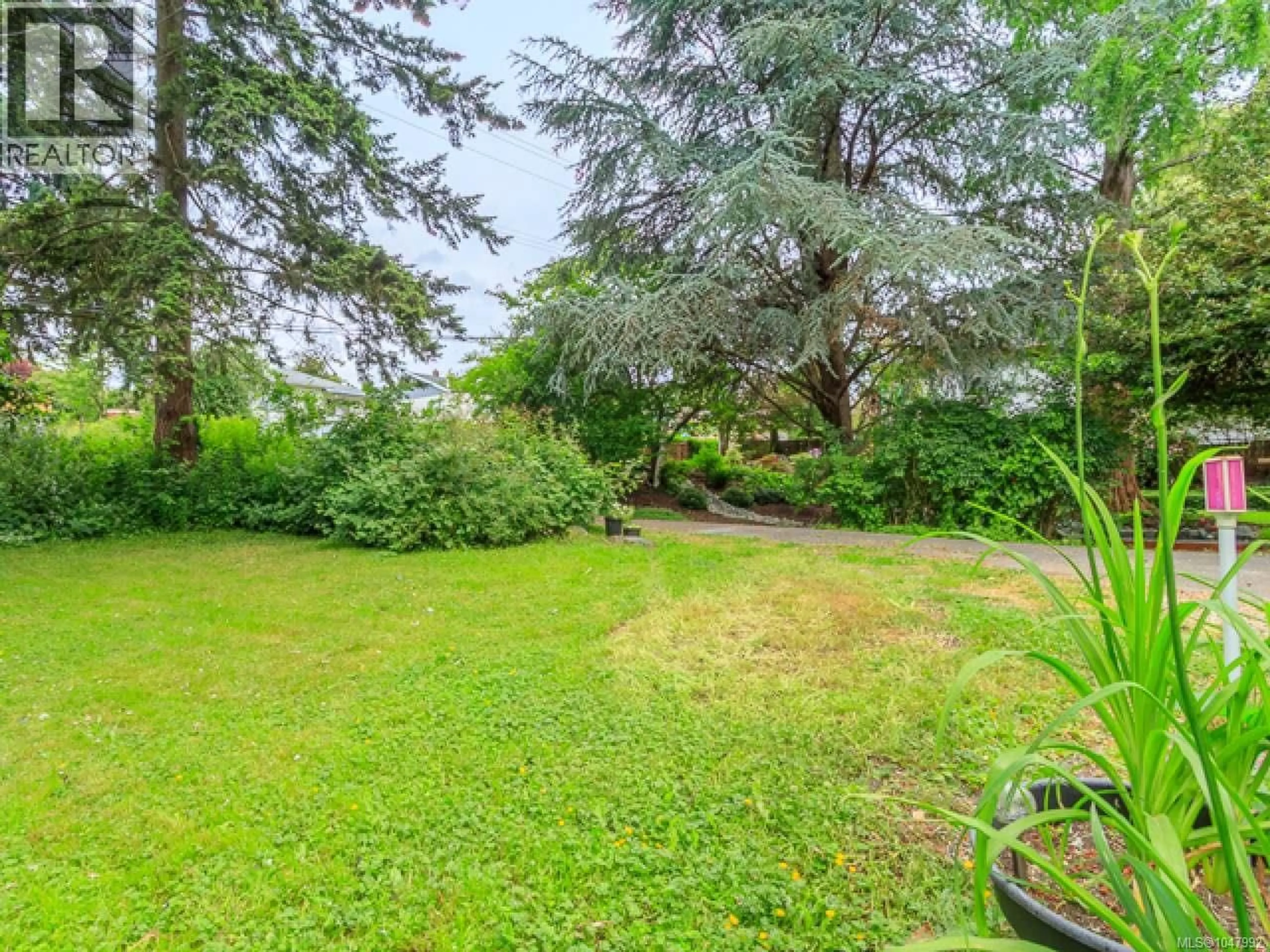 A pic from outside/outdoor area/front of a property/back of a property/a pic from drone, forest/trees view for 713 VICTORIA ROAD, Nanaimo British Columbia V9R4R6