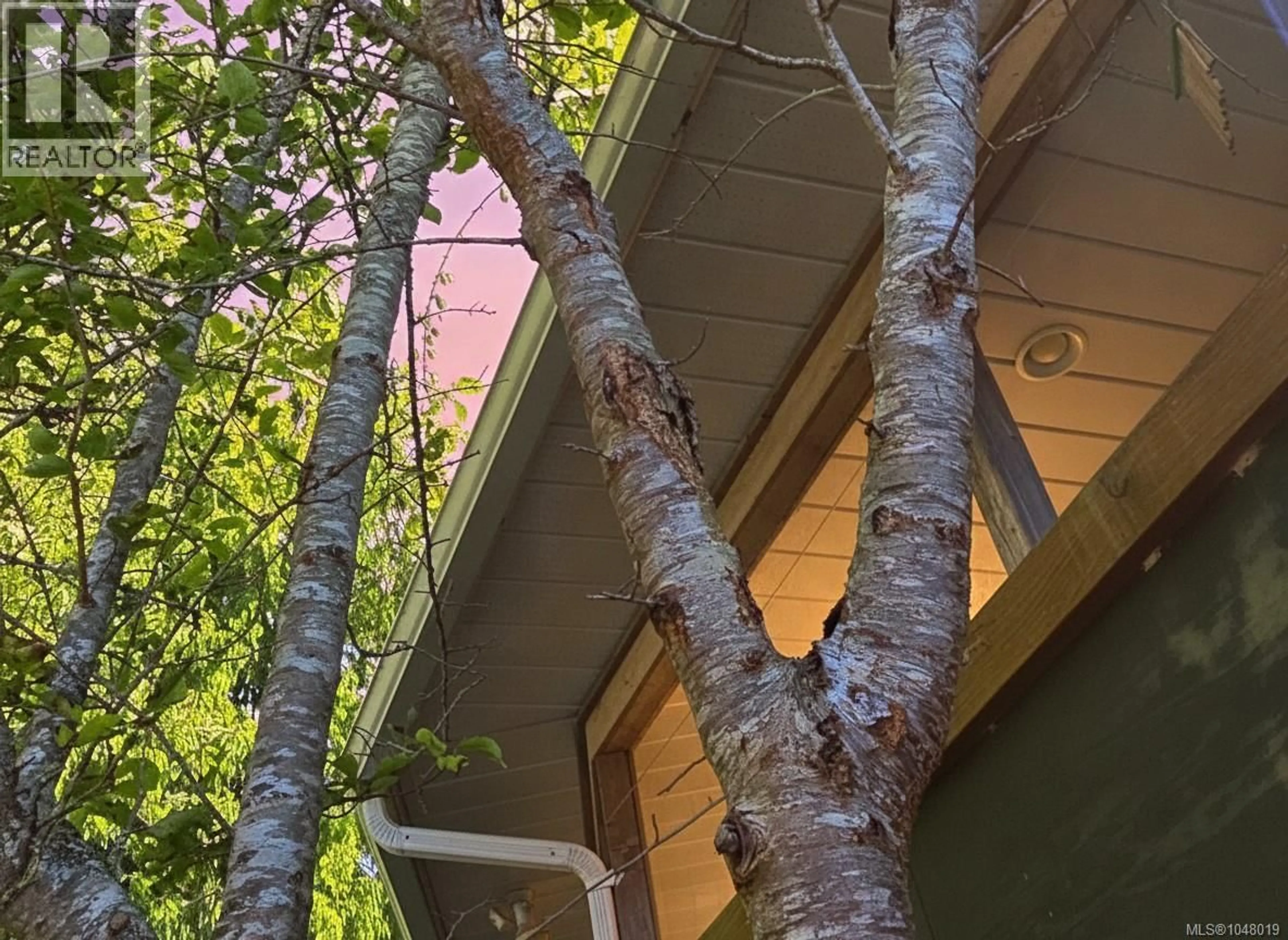 Home with vinyl exterior material, forest/trees view for 585 1ST STREET, Sointula British Columbia V0N3E0