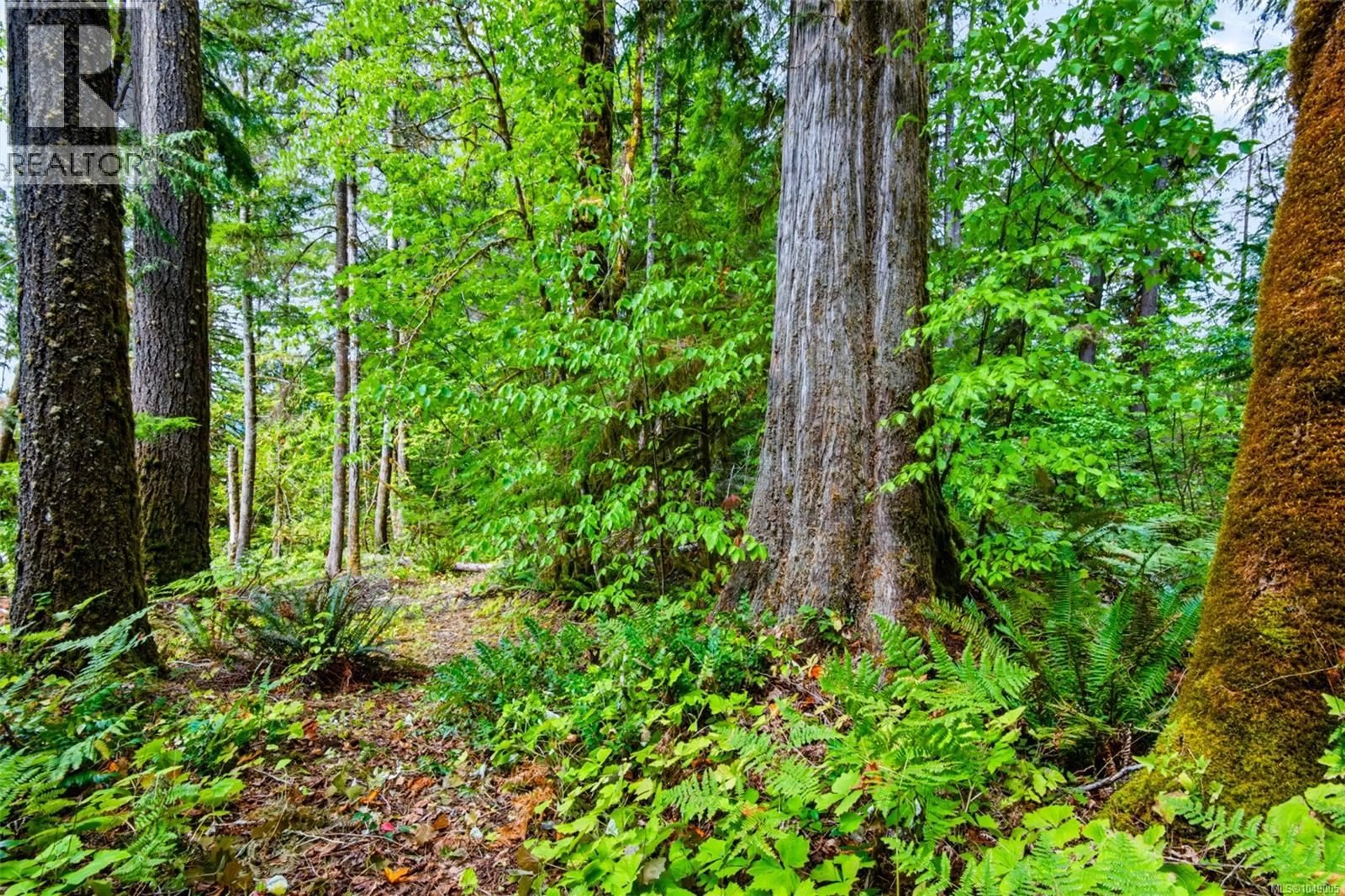 Unknown for 8908 FABER ROAD, Port Alberni British Columbia V9Y9B9