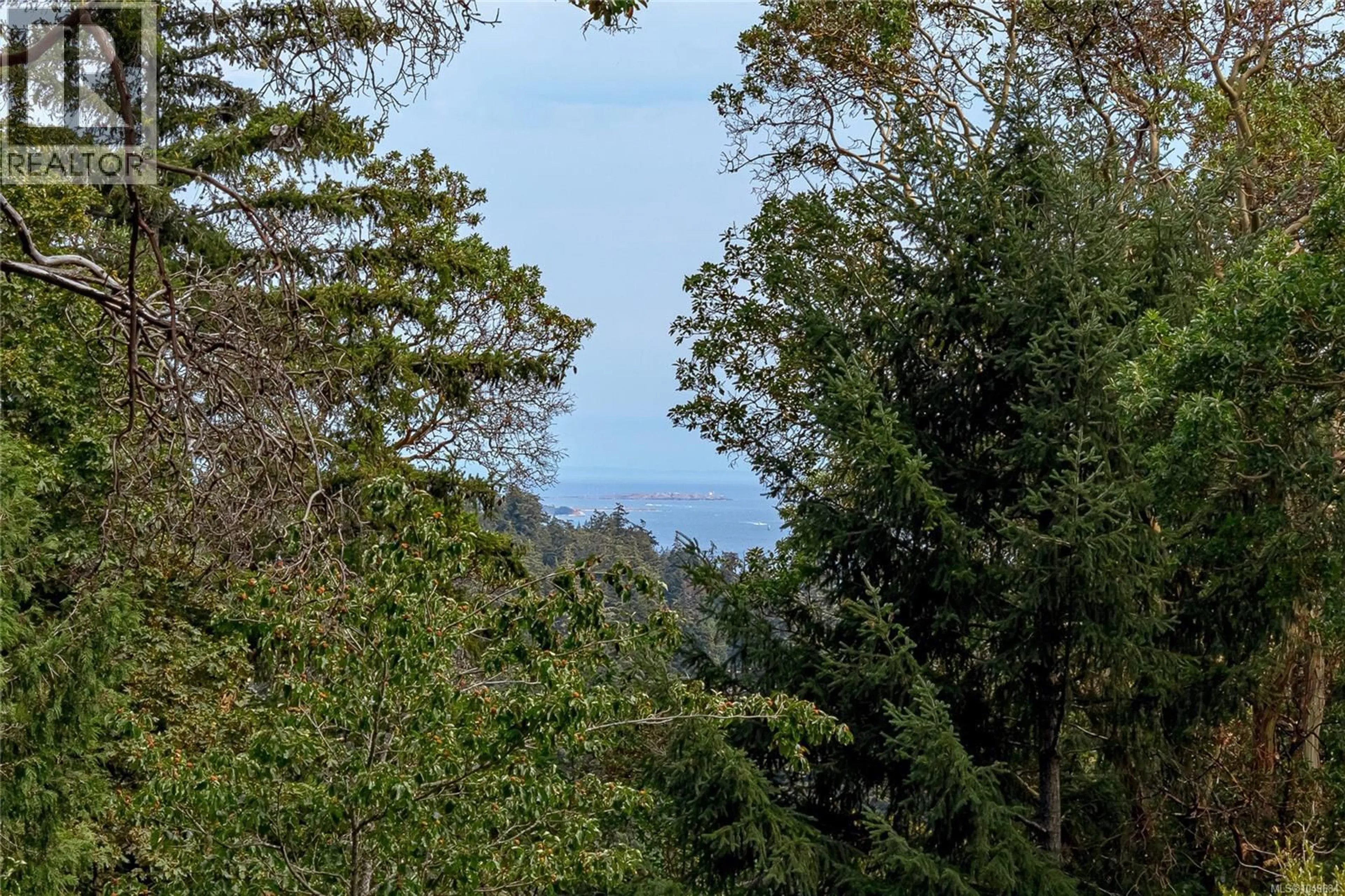 A pic from outside/outdoor area/front of a property/back of a property/a pic from drone, forest/trees view for 3330 RAVENWOOD ROAD, Colwood British Columbia V9C2X4