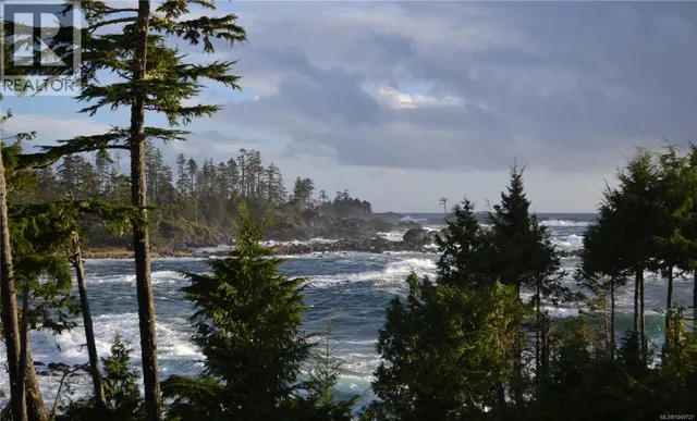 204 - 596 MARINE DRIVE, Ucluelet 2