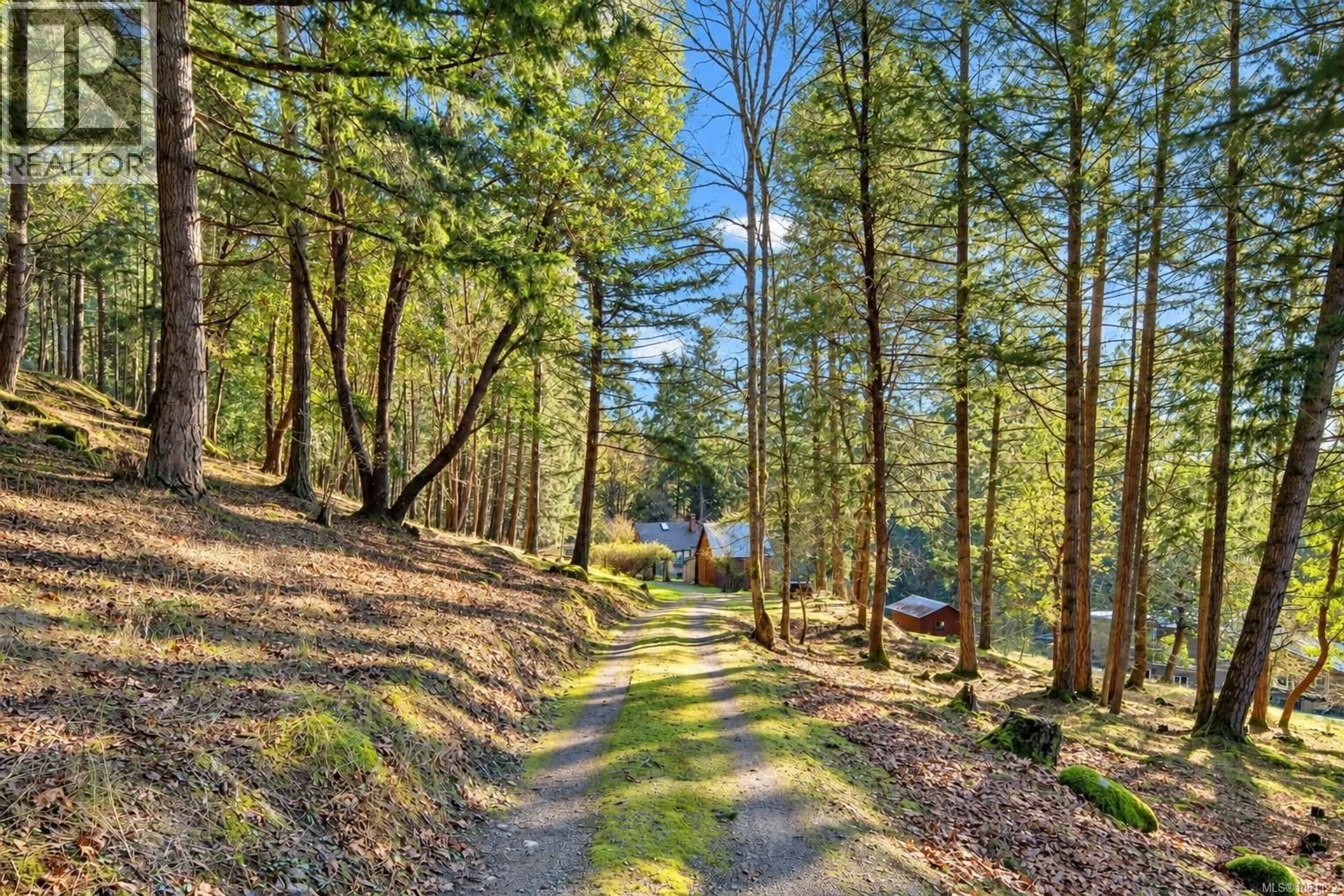 A pic from outside/outdoor area/front of a property/back of a property/a pic from drone, forest/trees view for 1183 HILLGROVE ROAD, North Saanich British Columbia V8L5R8
