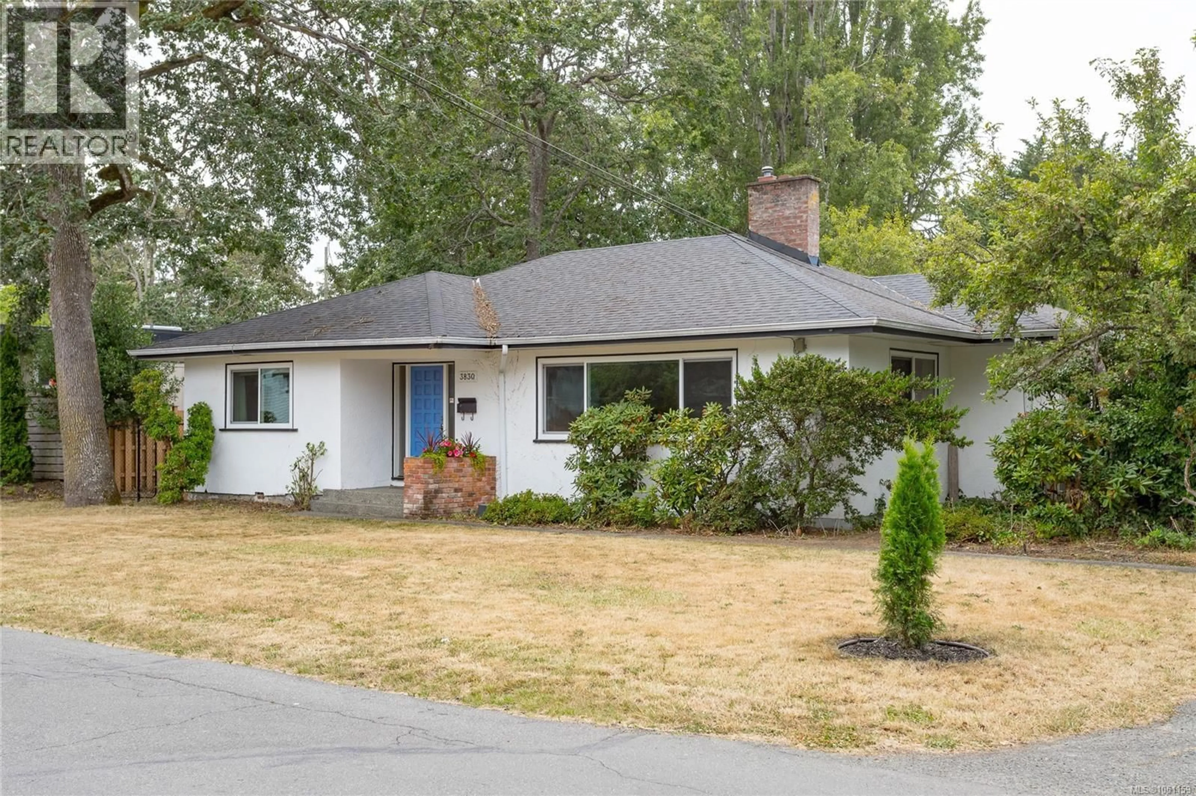 Home with vinyl exterior material, street for 3830 PALO ALTO STREET, Saanich British Columbia V8P4S3
