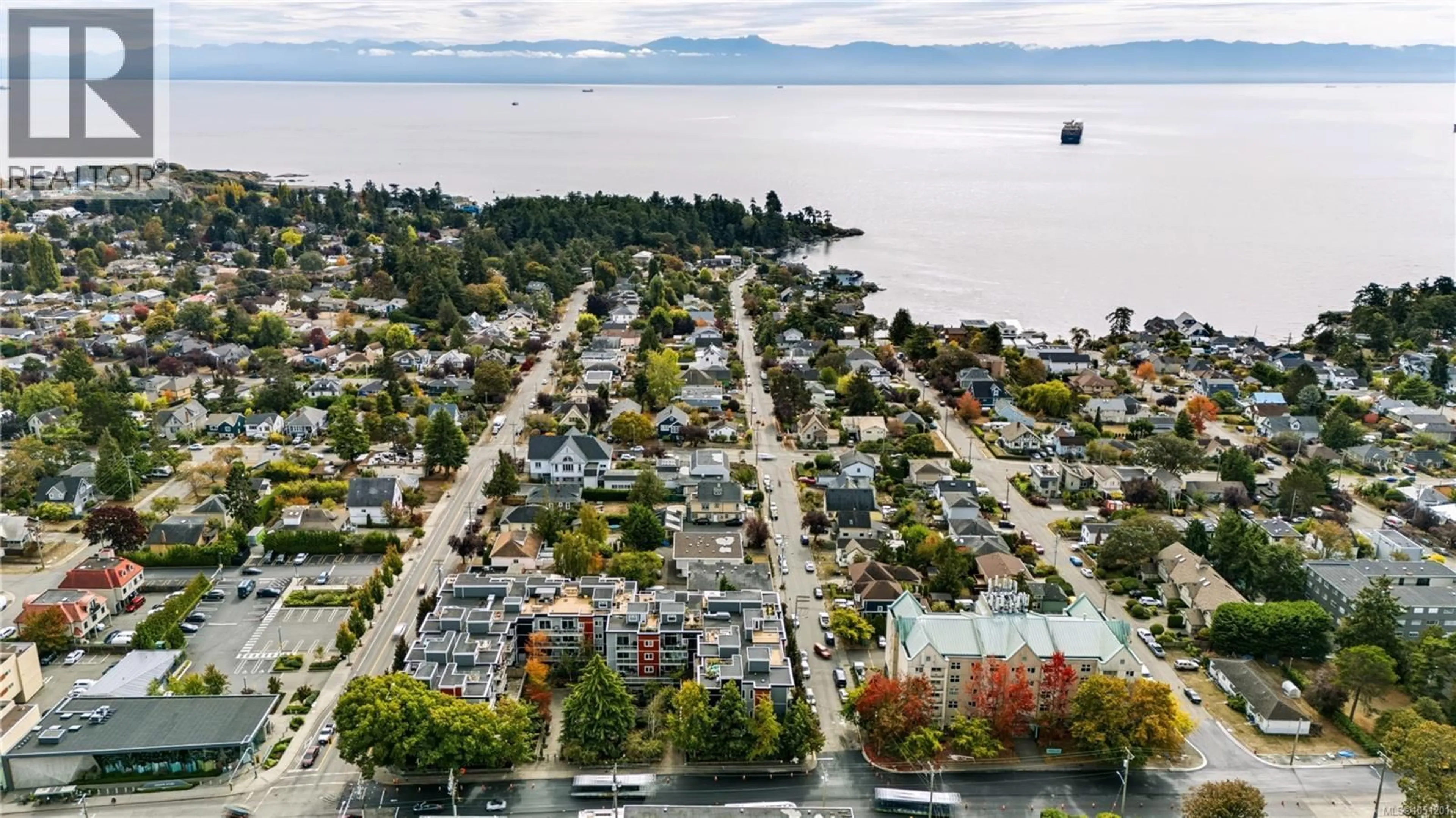 A pic from outside/outdoor area/front of a property/back of a property/a pic from drone, water/lake/river/ocean view for 314 - 1315 ESQUIMALT ROAD, Esquimalt British Columbia V9A3P5