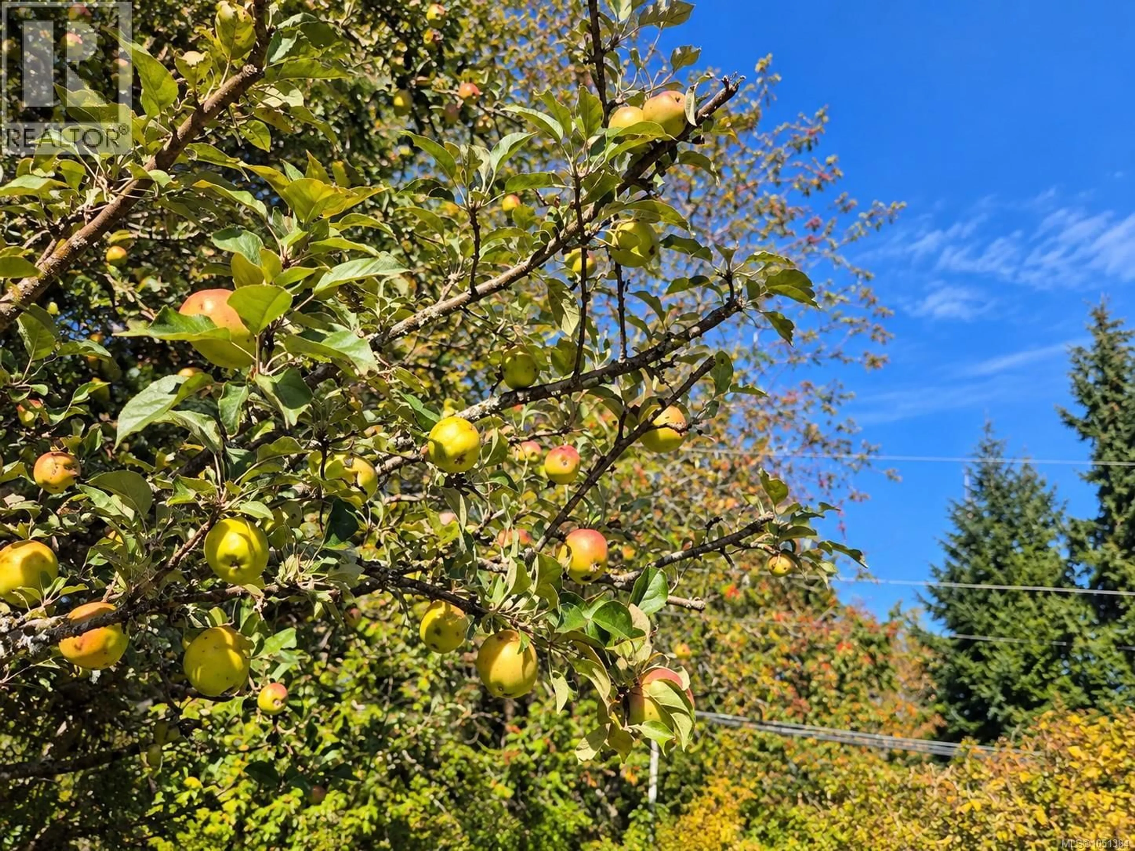 A pic from outside/outdoor area/front of a property/back of a property/a pic from drone, forest/trees view for 23 - 6820 PARKLANDS PLACE, Lantzville British Columbia V0R2H0