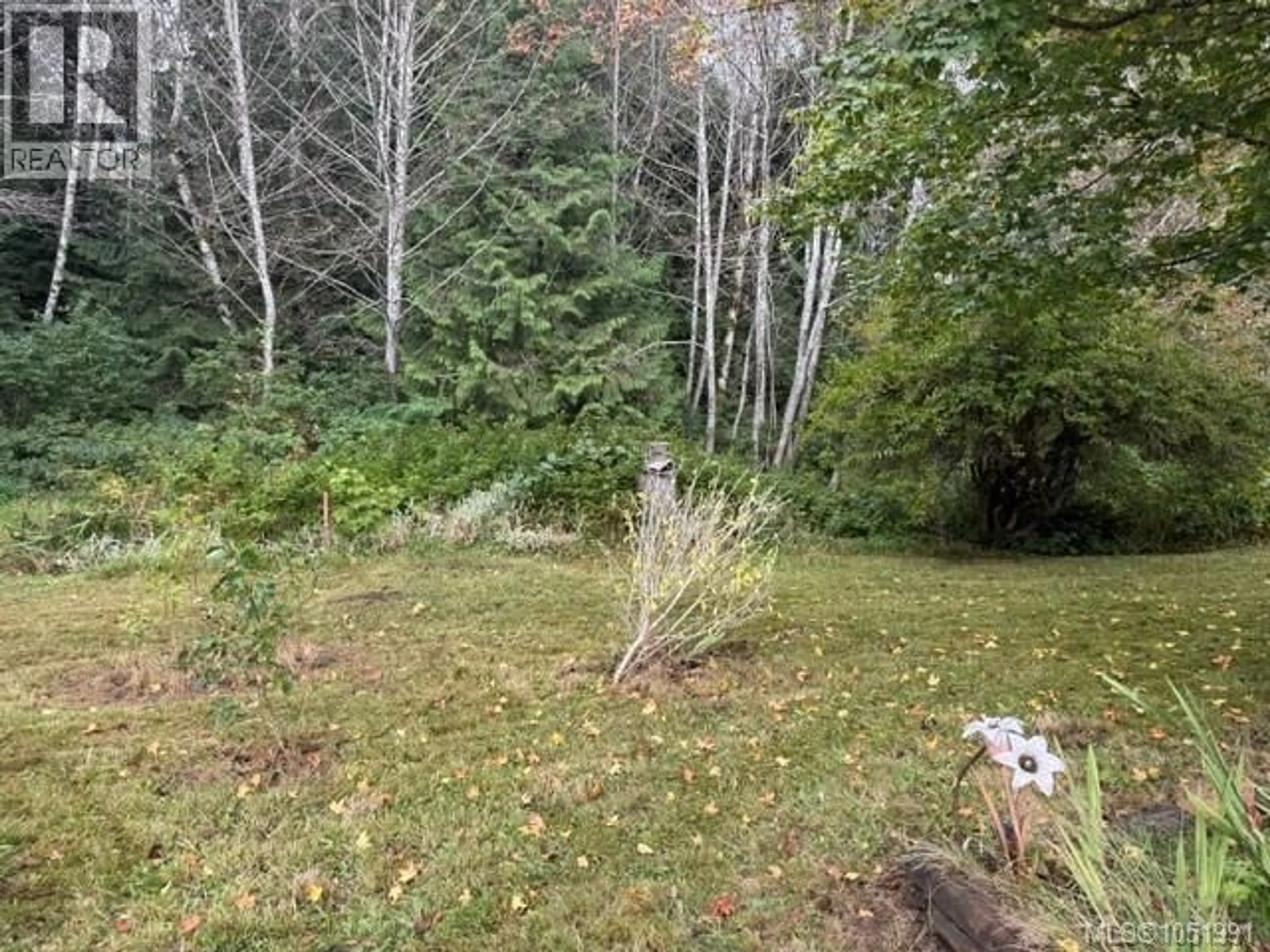 A pic from outside/outdoor area/front of a property/back of a property/a pic from drone, forest/trees view for 7725 DUVAL AVENUE, Port Hardy British Columbia V0N2P0