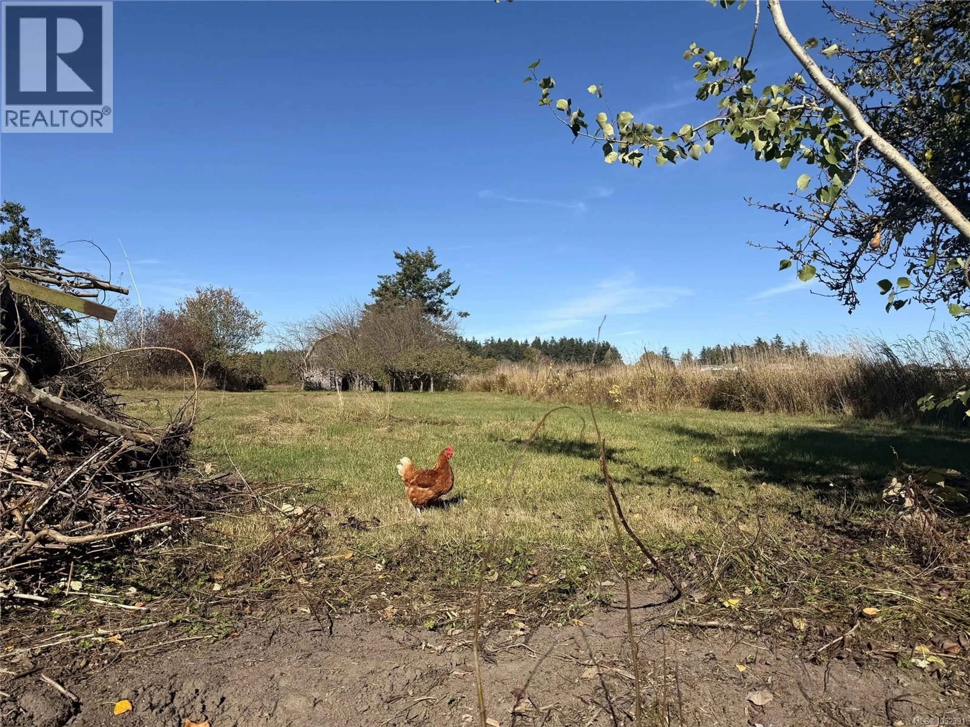 A pic from outside/outdoor area/front of a property/back of a property/a pic from drone, forest/trees view for 2766 ISLAND VIEW ROAD, Central Saanich British Columbia V0S1M0