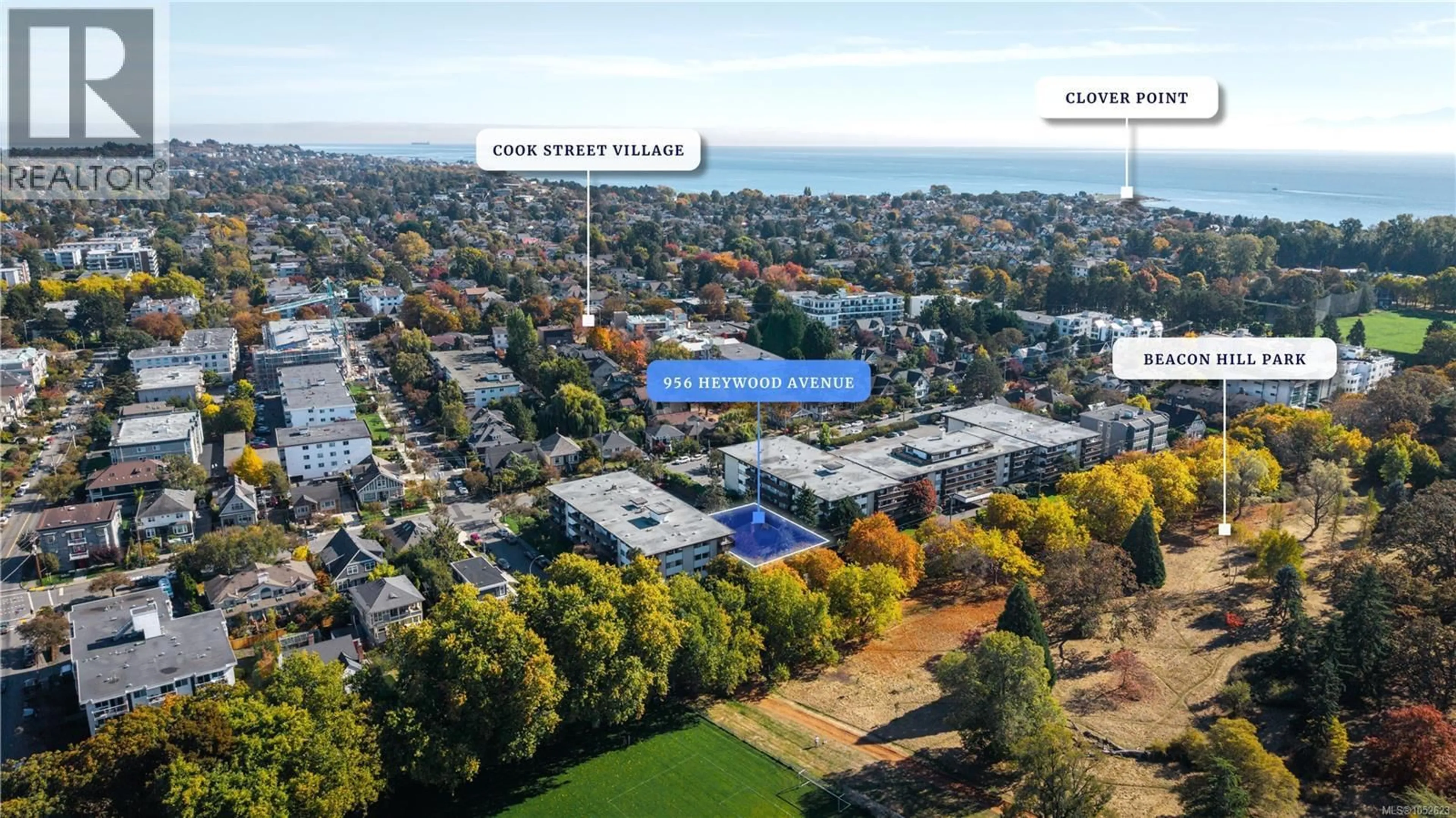 A pic from outside/outdoor area/front of a property/back of a property/a pic from drone, street for 956 HEYWOOD AVENUE, Victoria British Columbia V8V2Y4