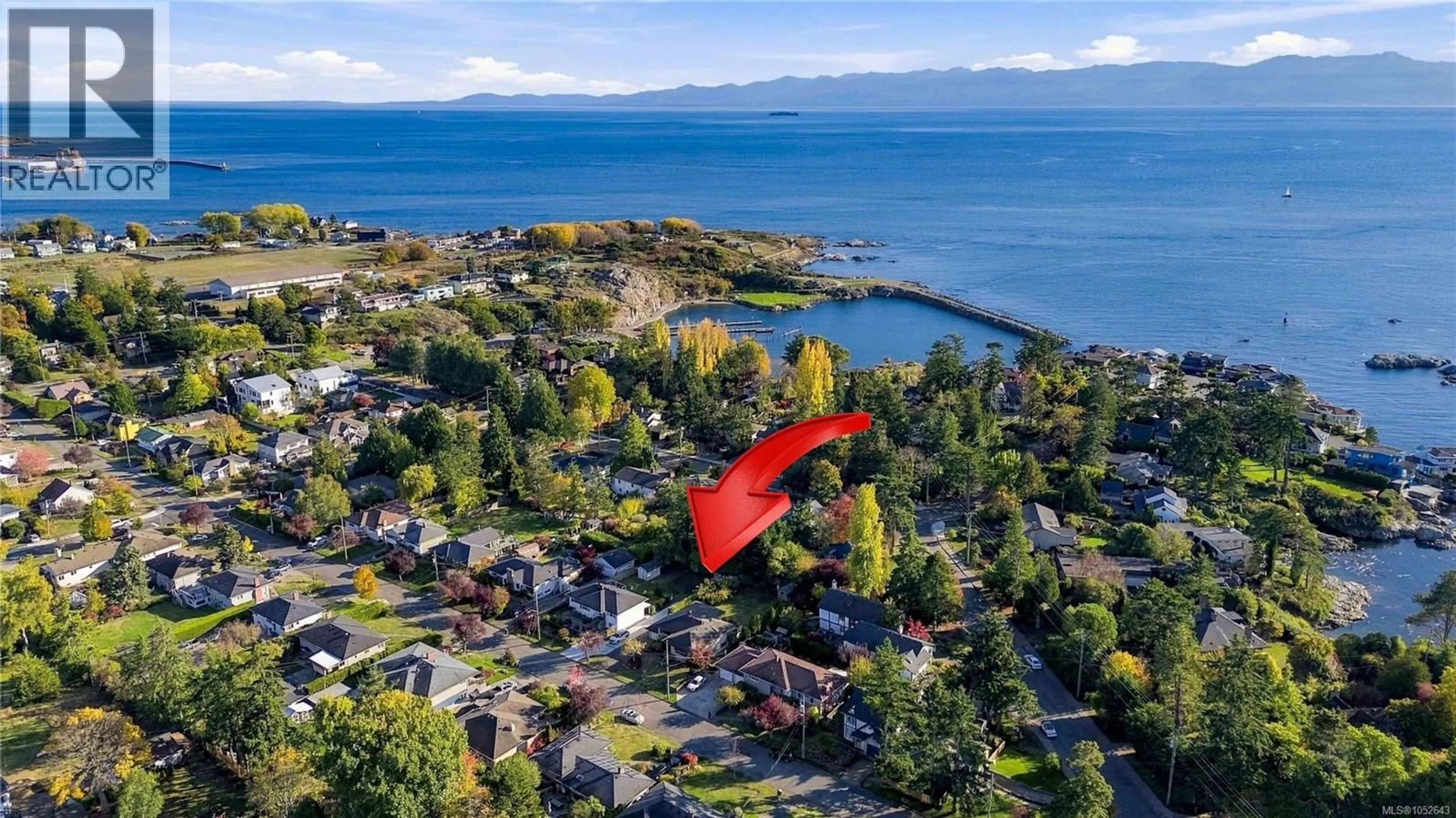 A pic from outside/outdoor area/front of a property/back of a property/a pic from drone, water/lake/river/ocean view for 1161 HADFIELD AVENUE, Esquimalt British Columbia V9A5N8