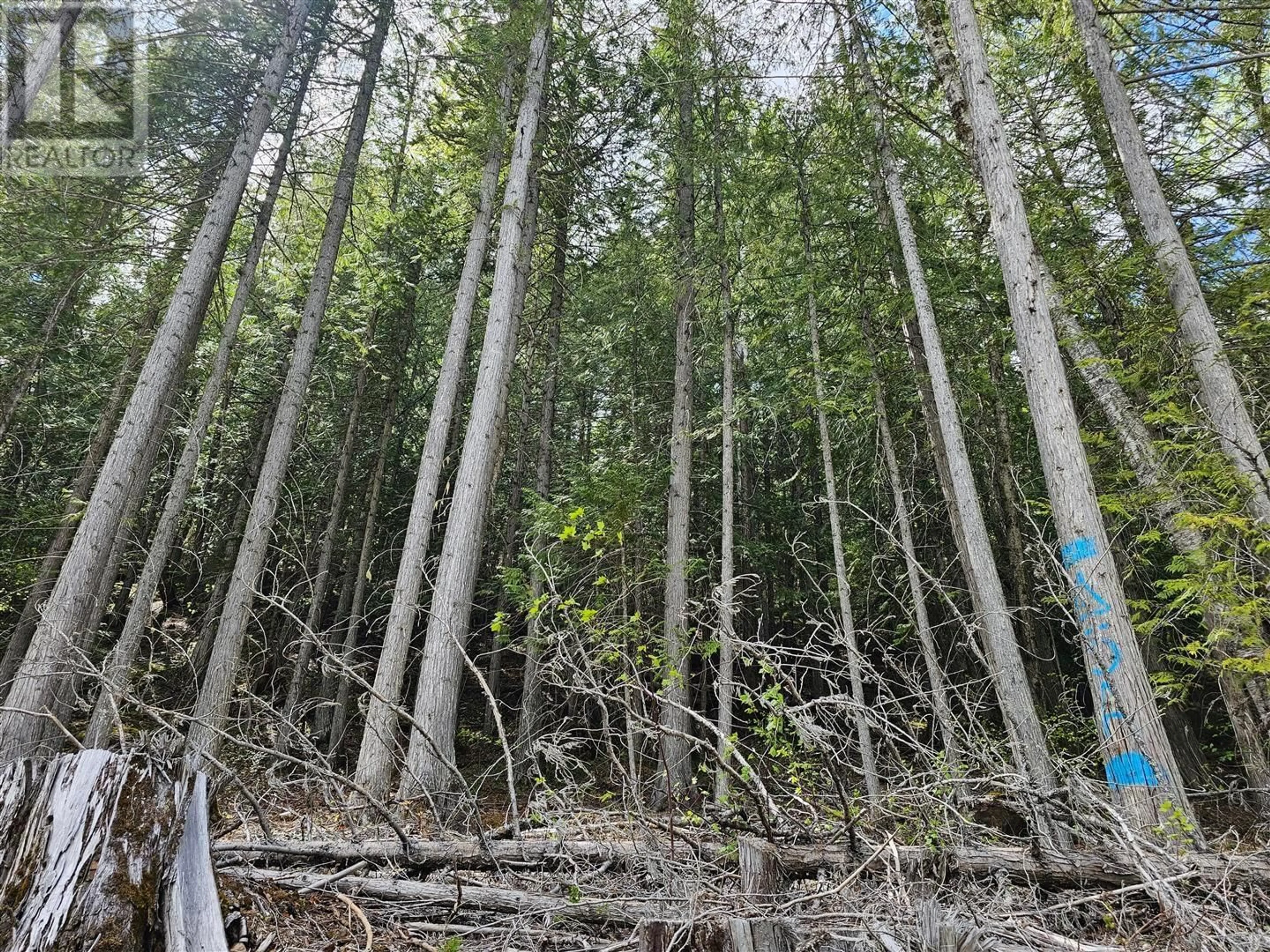 Blurry image for 4187 MCNAB ROAD, Little Fort British Columbia V0e1N2