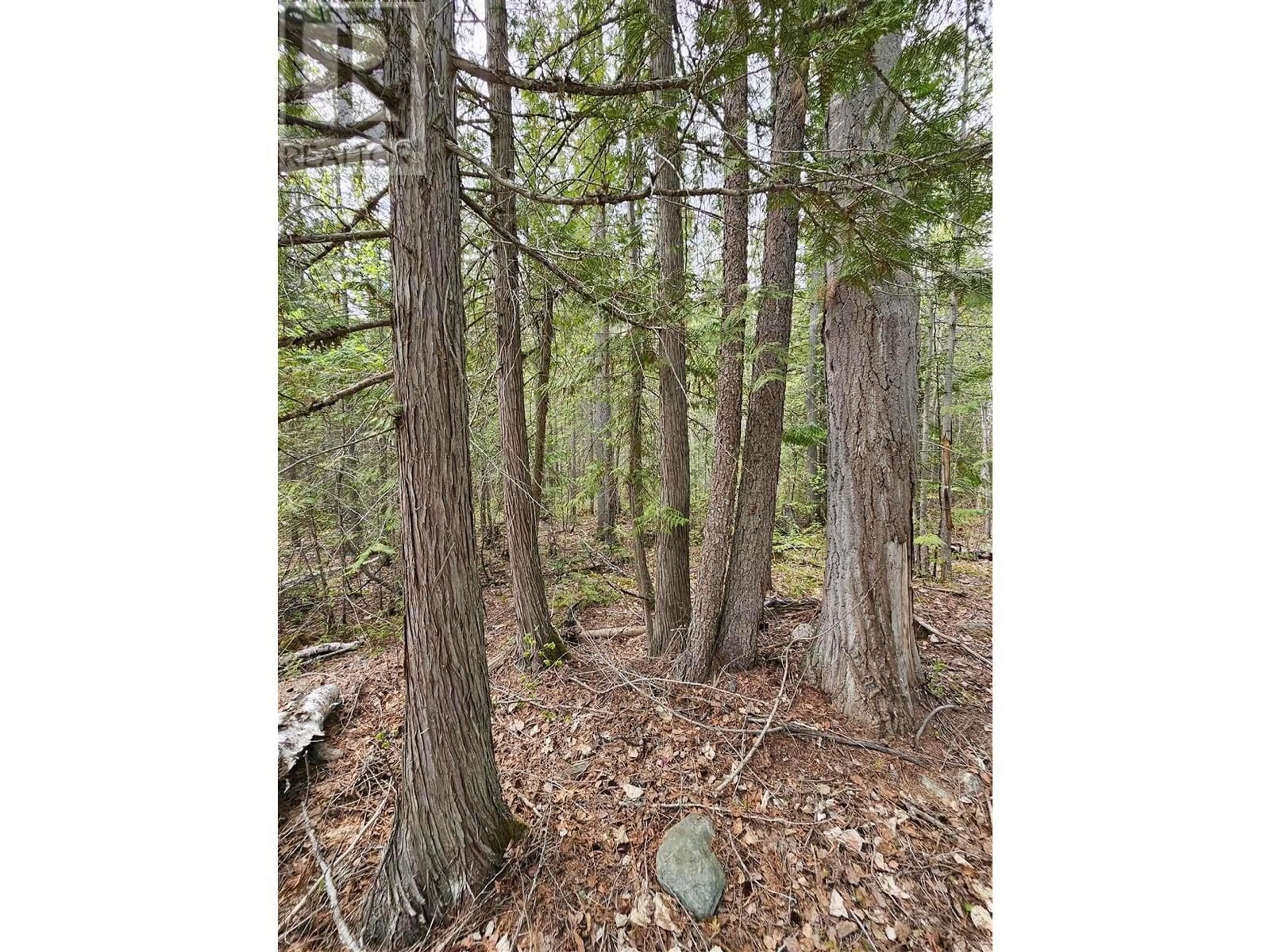 Unknown for 4187 MCNAB ROAD, Little Fort British Columbia V0e1N2