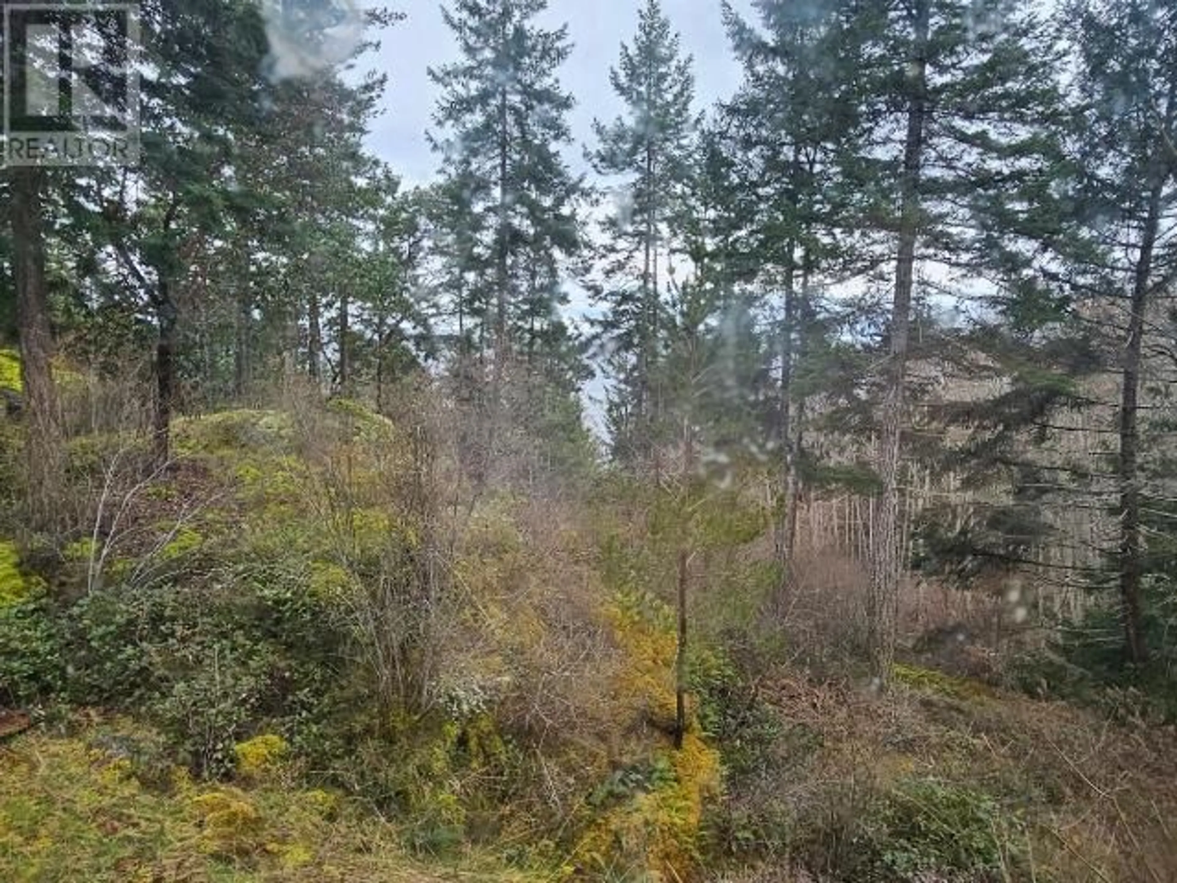 A pic from outside/outdoor area/front of a property/back of a property/a pic from drone, forest/trees view for 3121 SHEARWATER TERRA, Powell River British Columbia
