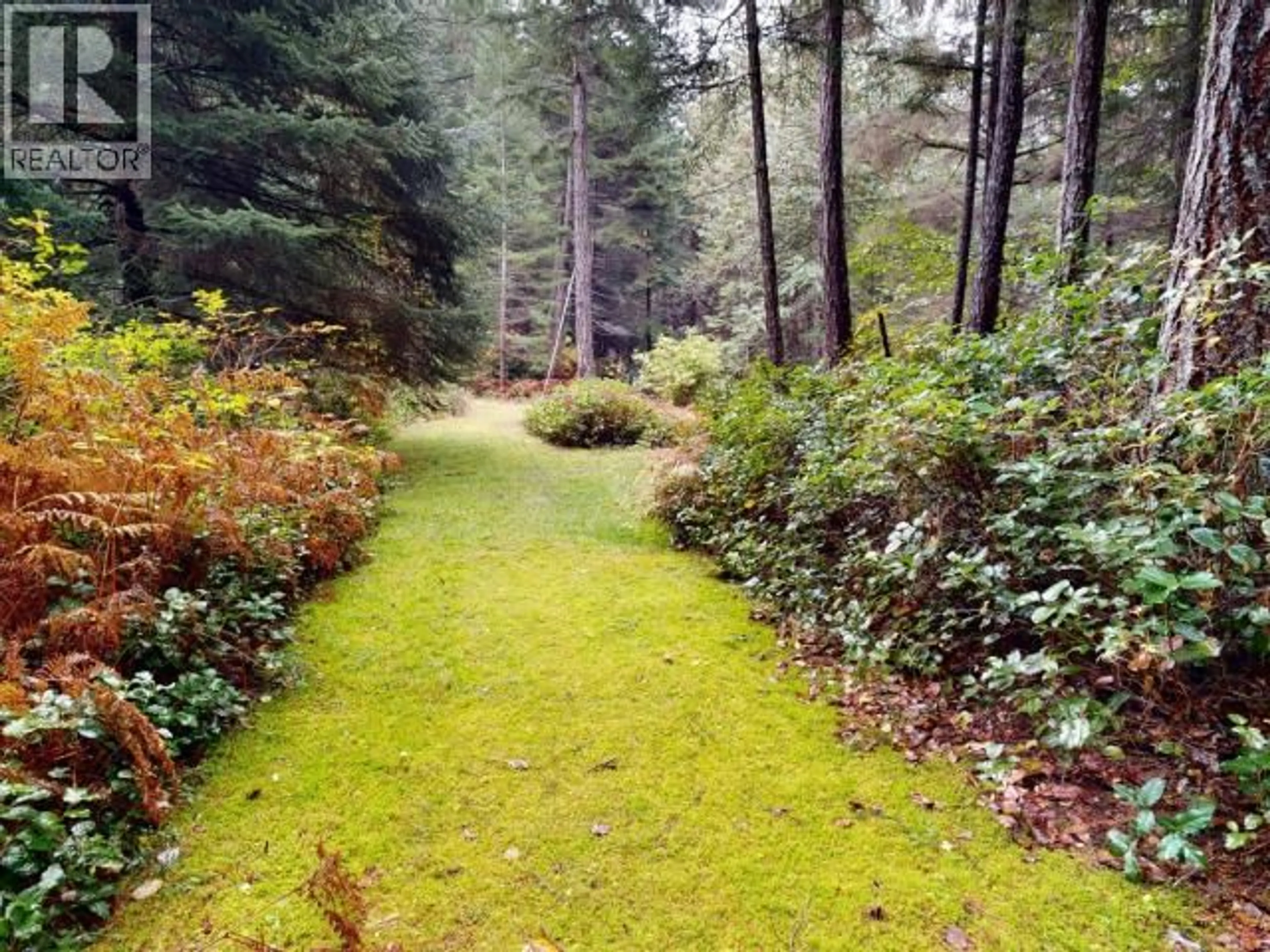 A pic from outside/outdoor area/front of a property/back of a property/a pic from drone, forest/trees view for 5084 LEAPER ROAD, Texada Island British Columbia V0N1W0