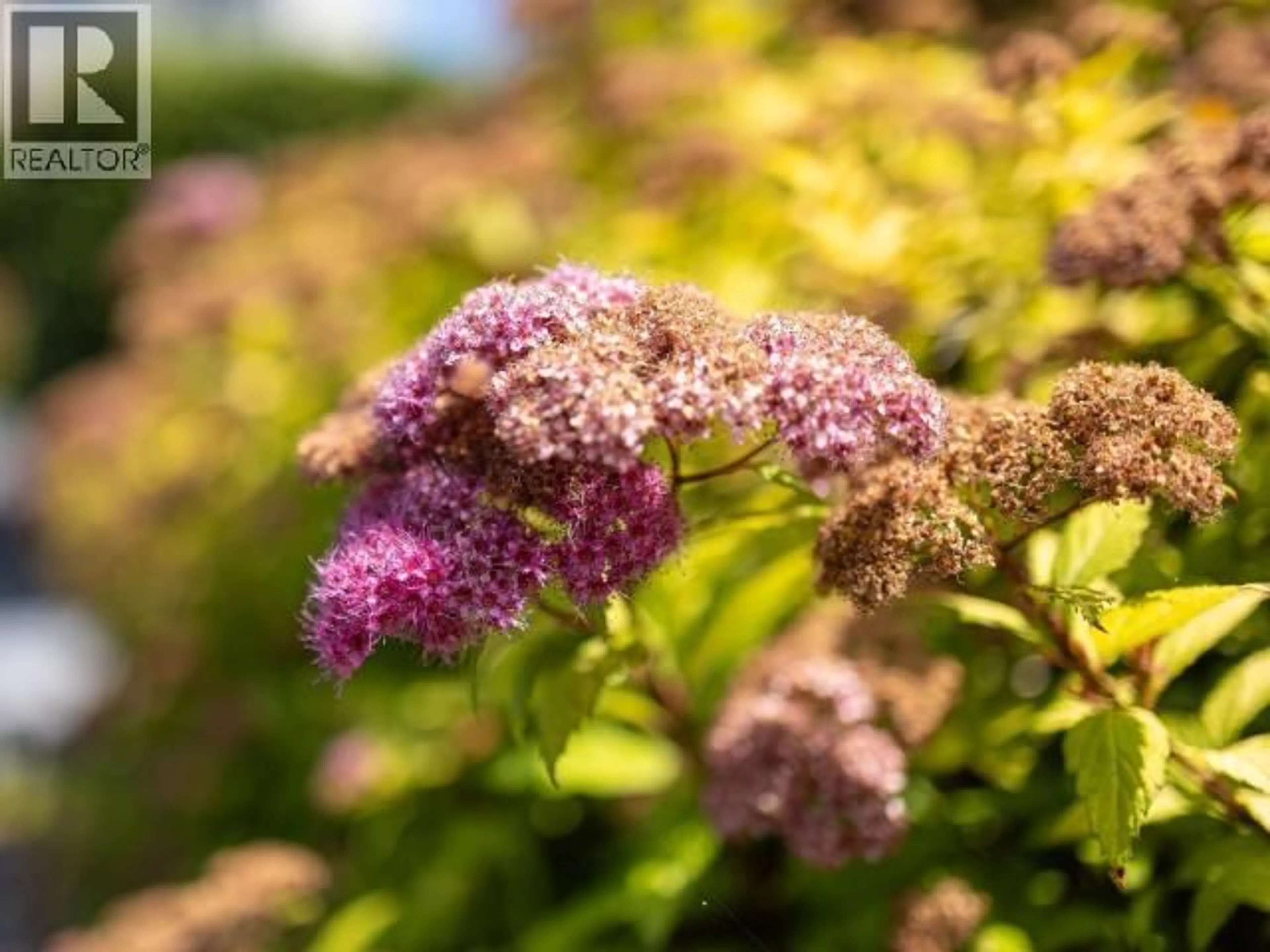 Blurry image for 1 - 1-4651 HARVIE AVE, Powell River British Columbia V8A2P4