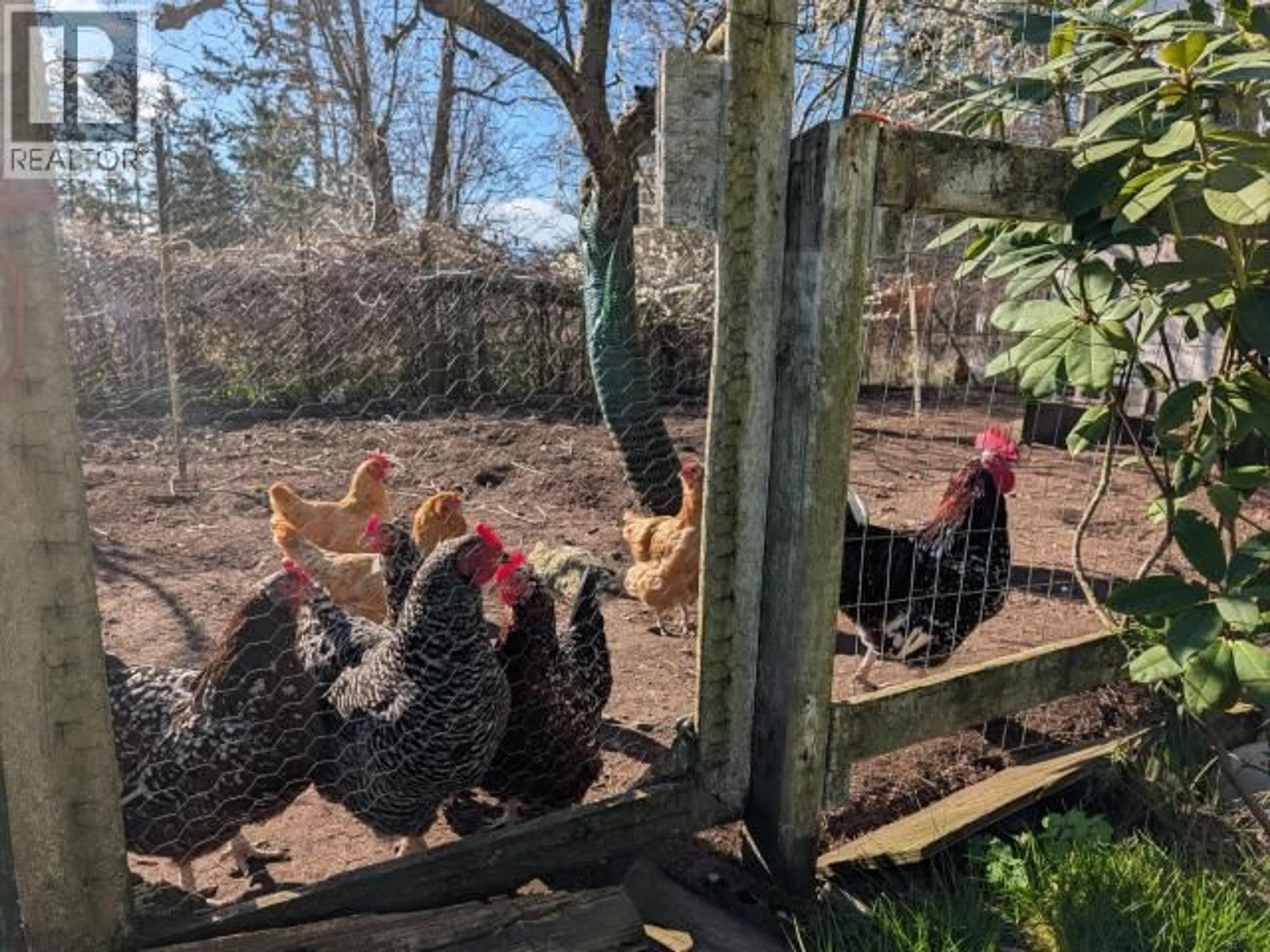 A pic from outside/outdoor area/front of a property/back of a property/a pic from drone, street for 4649 CEDAR STREET, Texada Island British Columbia V0N1W0