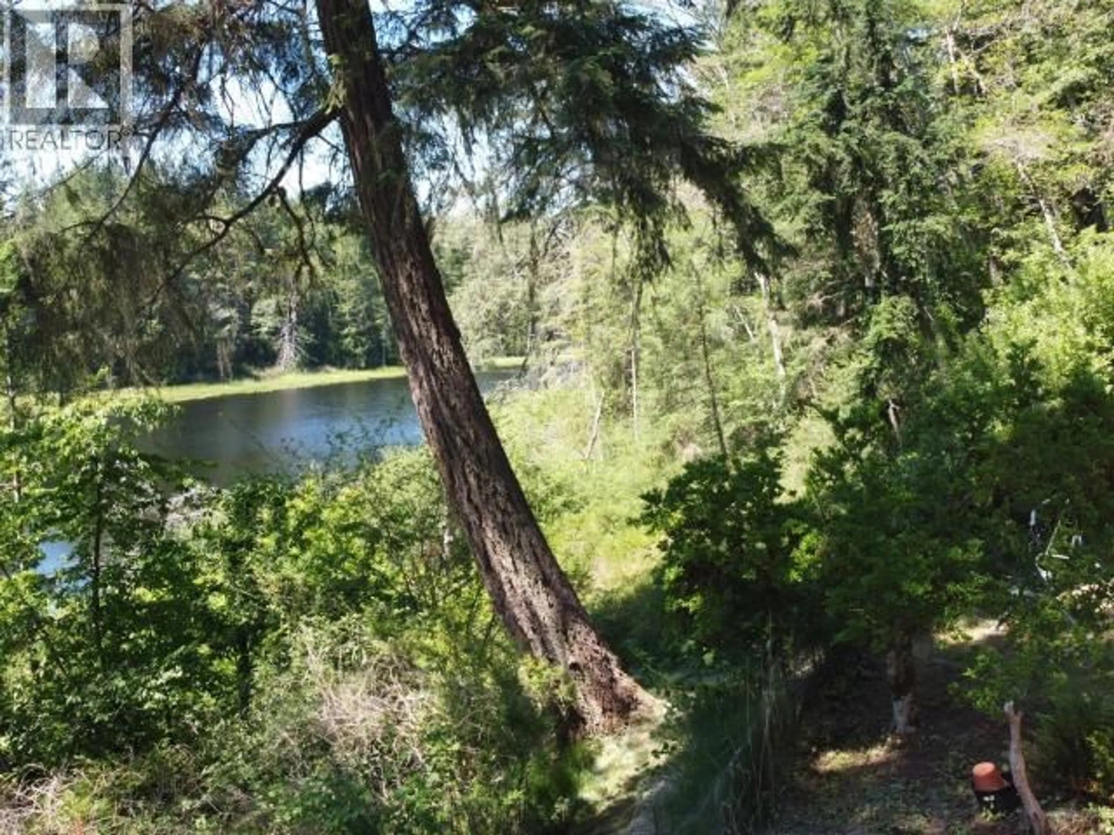 A pic from outside/outdoor area/front of a property/back of a property/a pic from drone, forest/trees view for 5043 SPRAGGE ROAD, Texada Island British Columbia