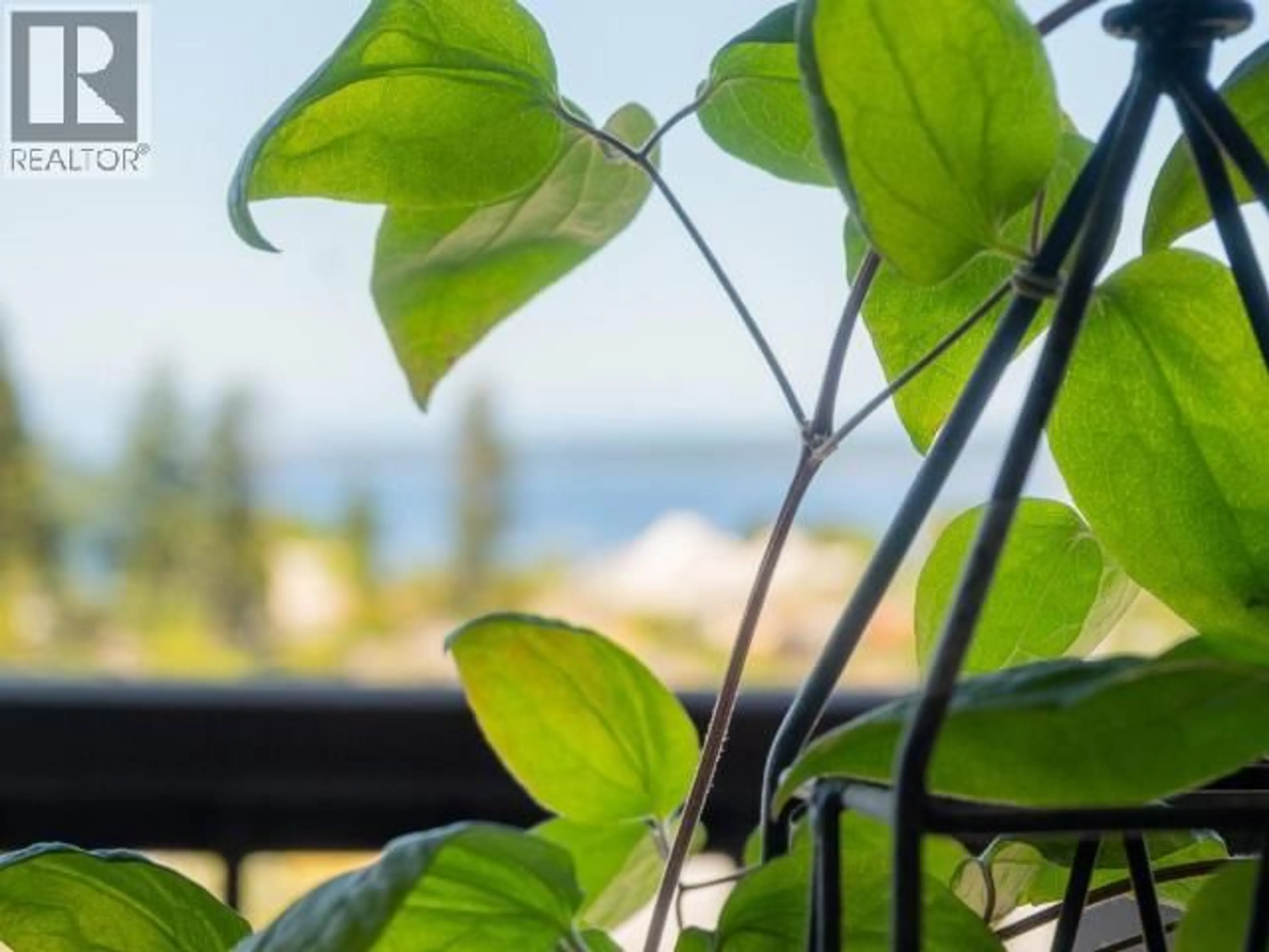 Unknown for 12 - 4420 QUEBEC AVE, Powell River British Columbia V8A5L5
