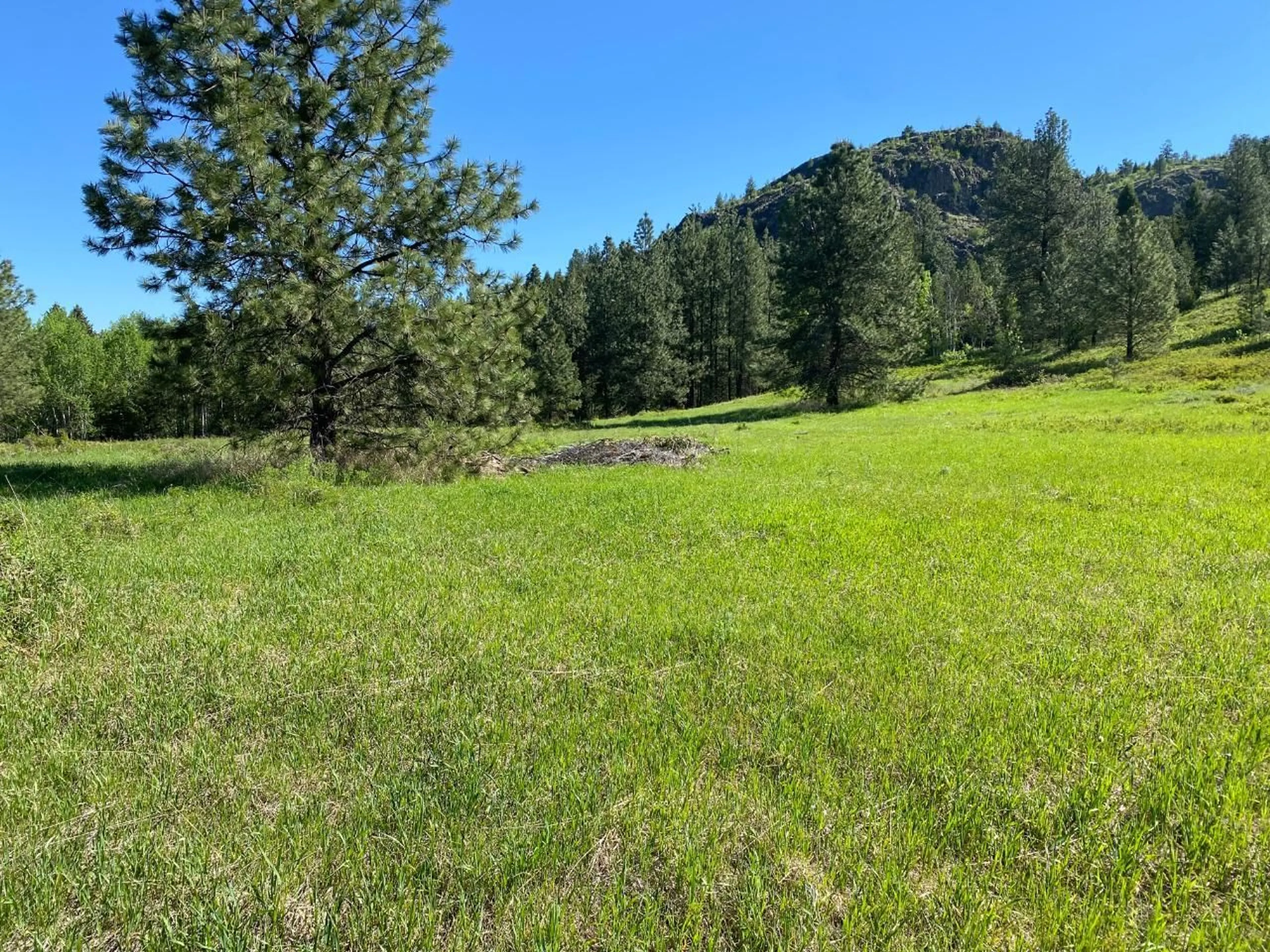 A pic from exterior of the house or condo, the fenced backyard for 8870 GRANBY Road, Grand Forks British Columbia V0H1H1