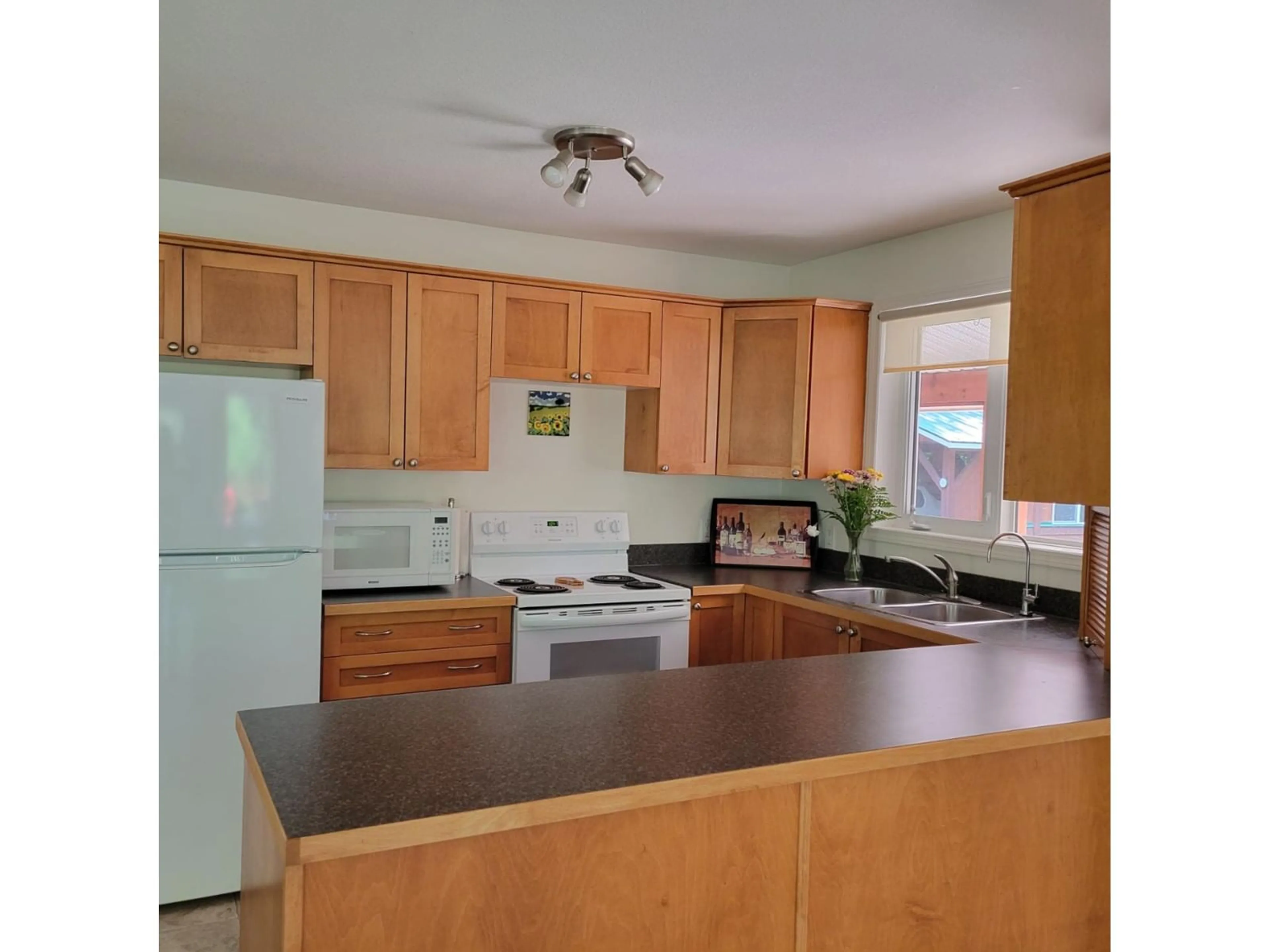 Standard kitchen for 436 BAYVIEW Road, Nakusp British Columbia V0G1R1