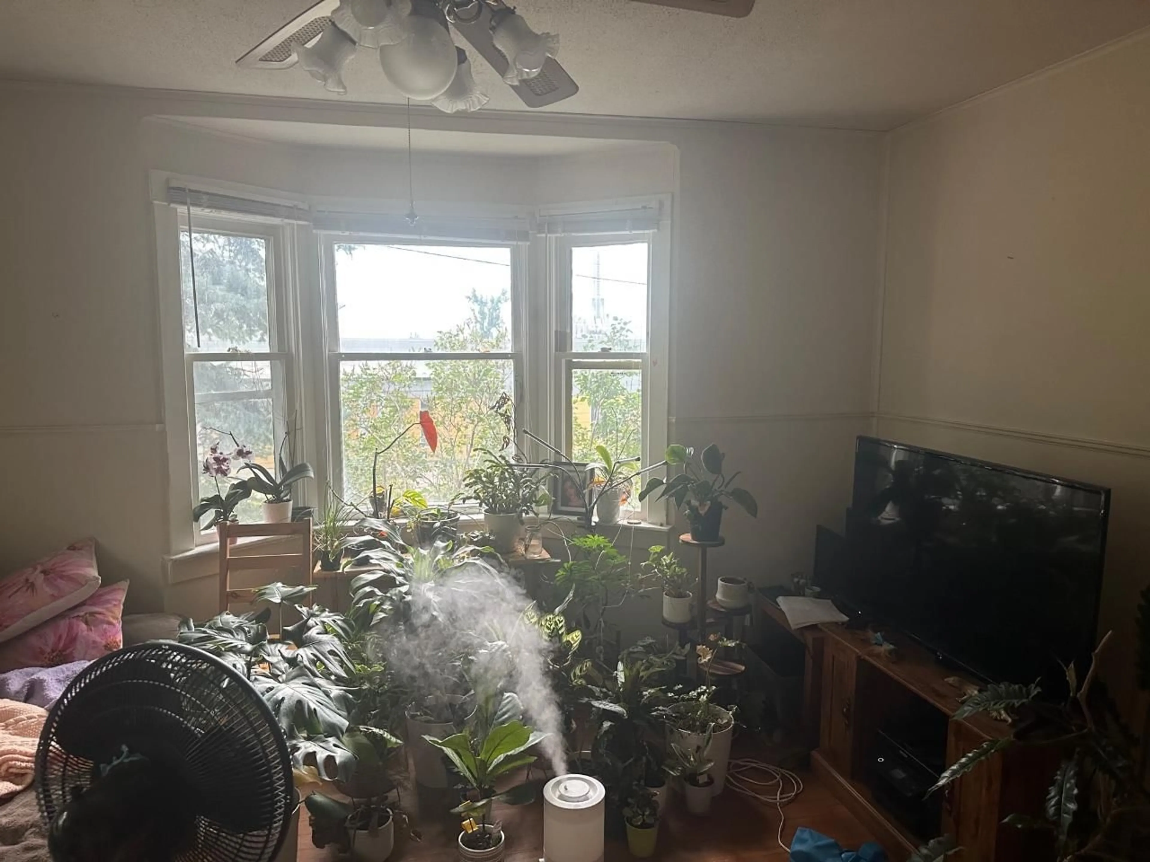 A pic of a room for 16 VIEW STREET, Nelson British Columbia V1L2V2