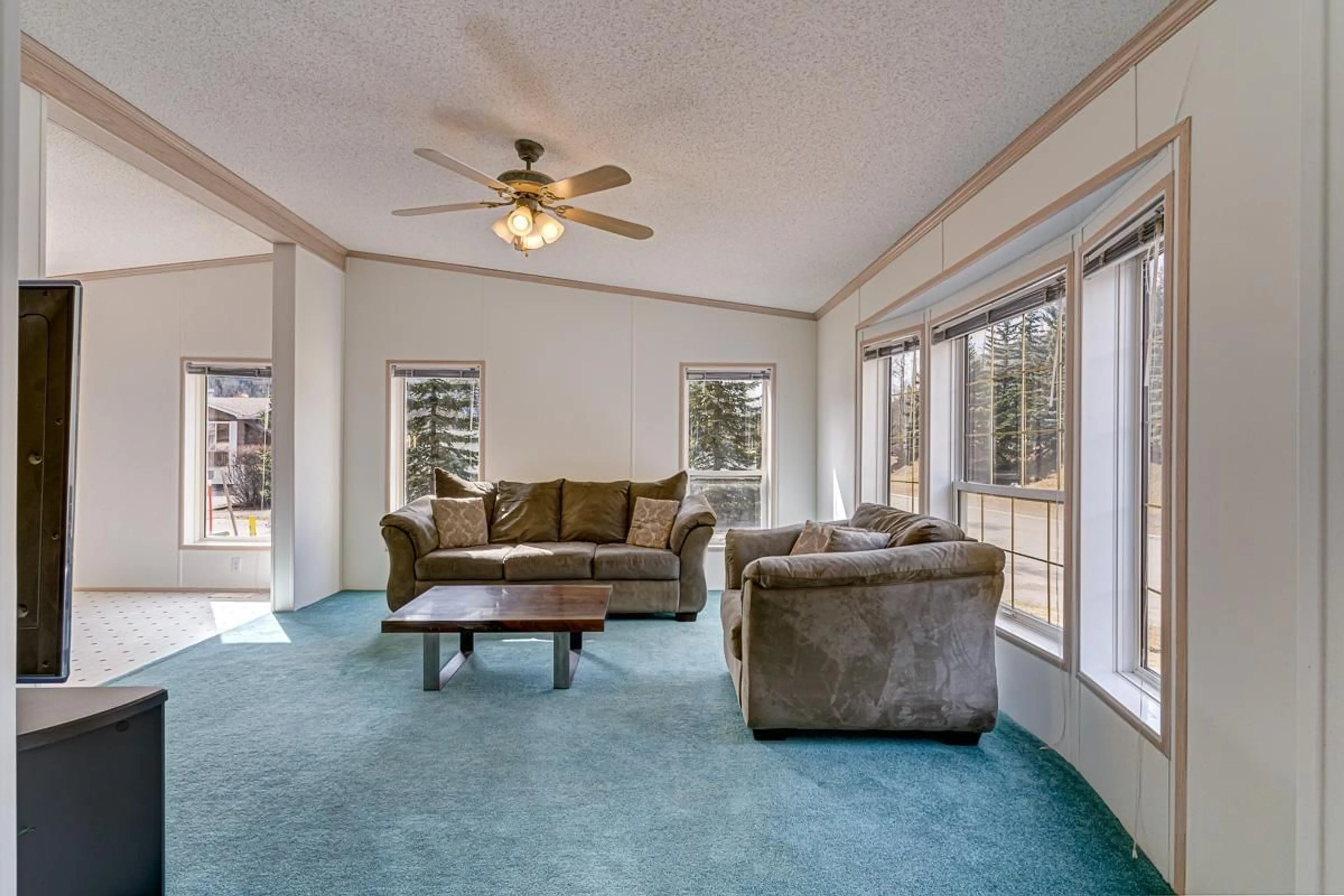 Living room for 514 BUCKTHORN ROAD, Sparwood British Columbia V0B2G0