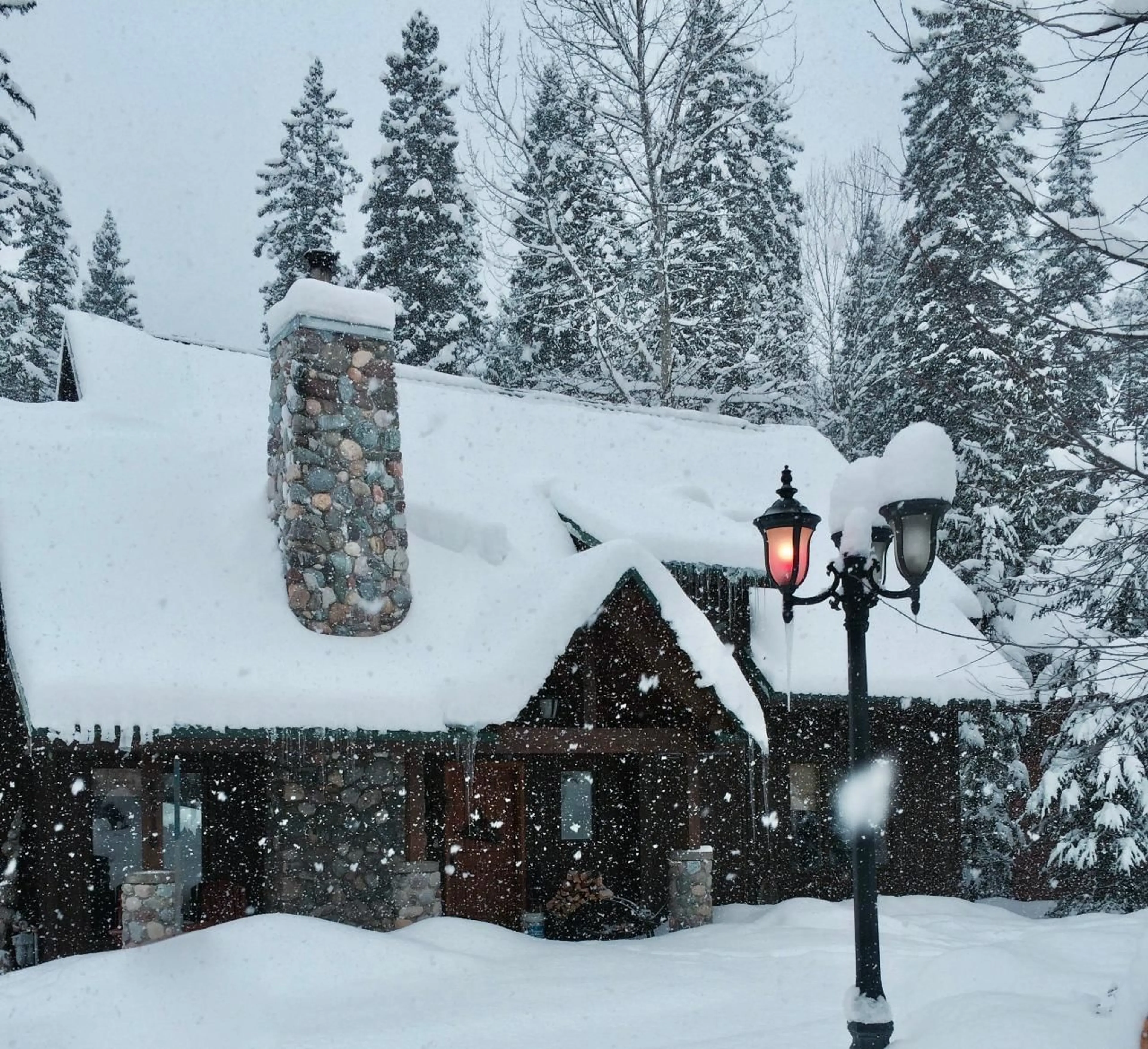 A pic from exterior of the house or condo, cottage for 4516 TIMBERLINE Crescent, Fernie British Columbia V0B1M6