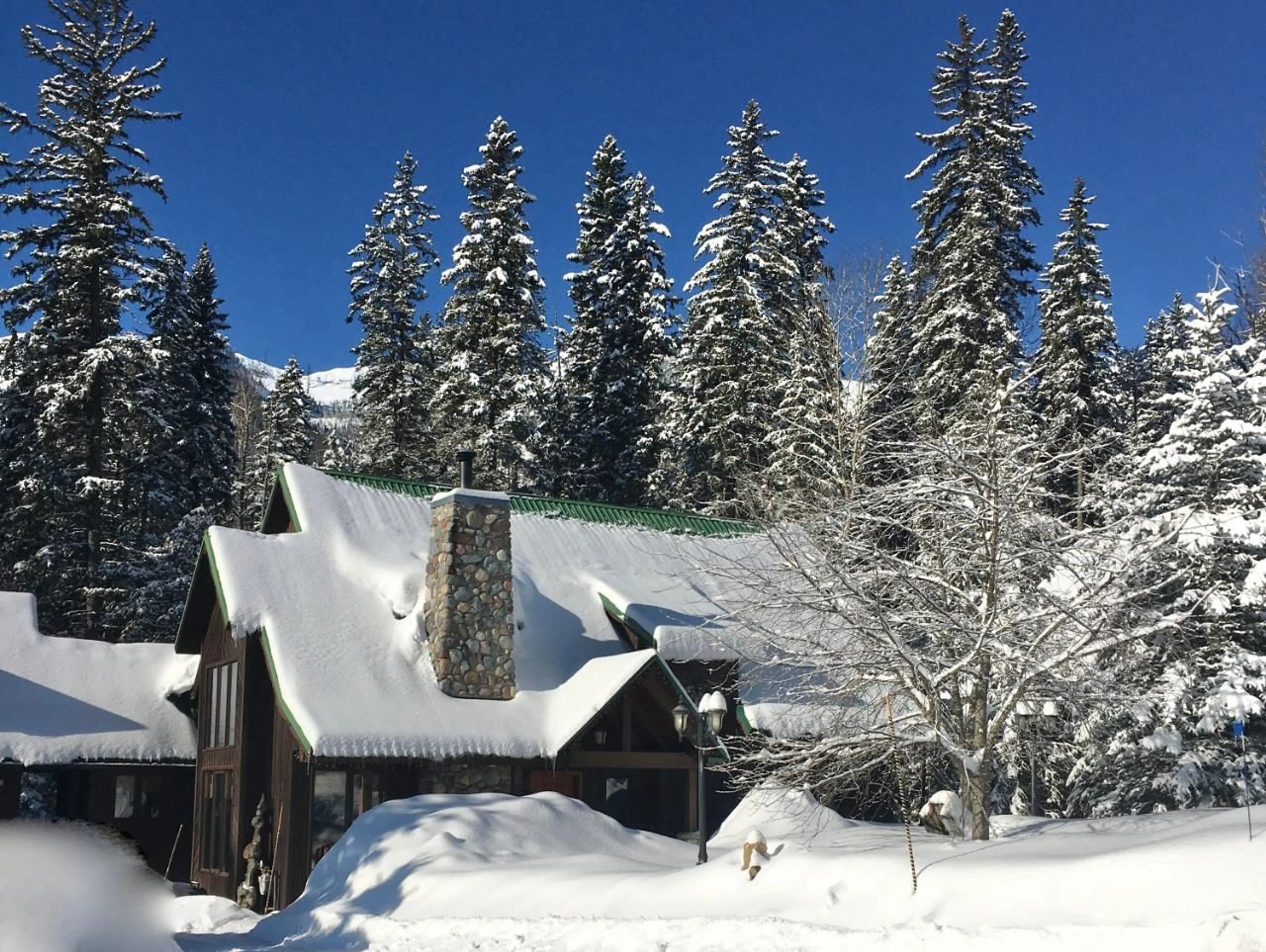 A pic from exterior of the house or condo, cottage for 4516 TIMBERLINE Crescent, Fernie British Columbia V0B1M6