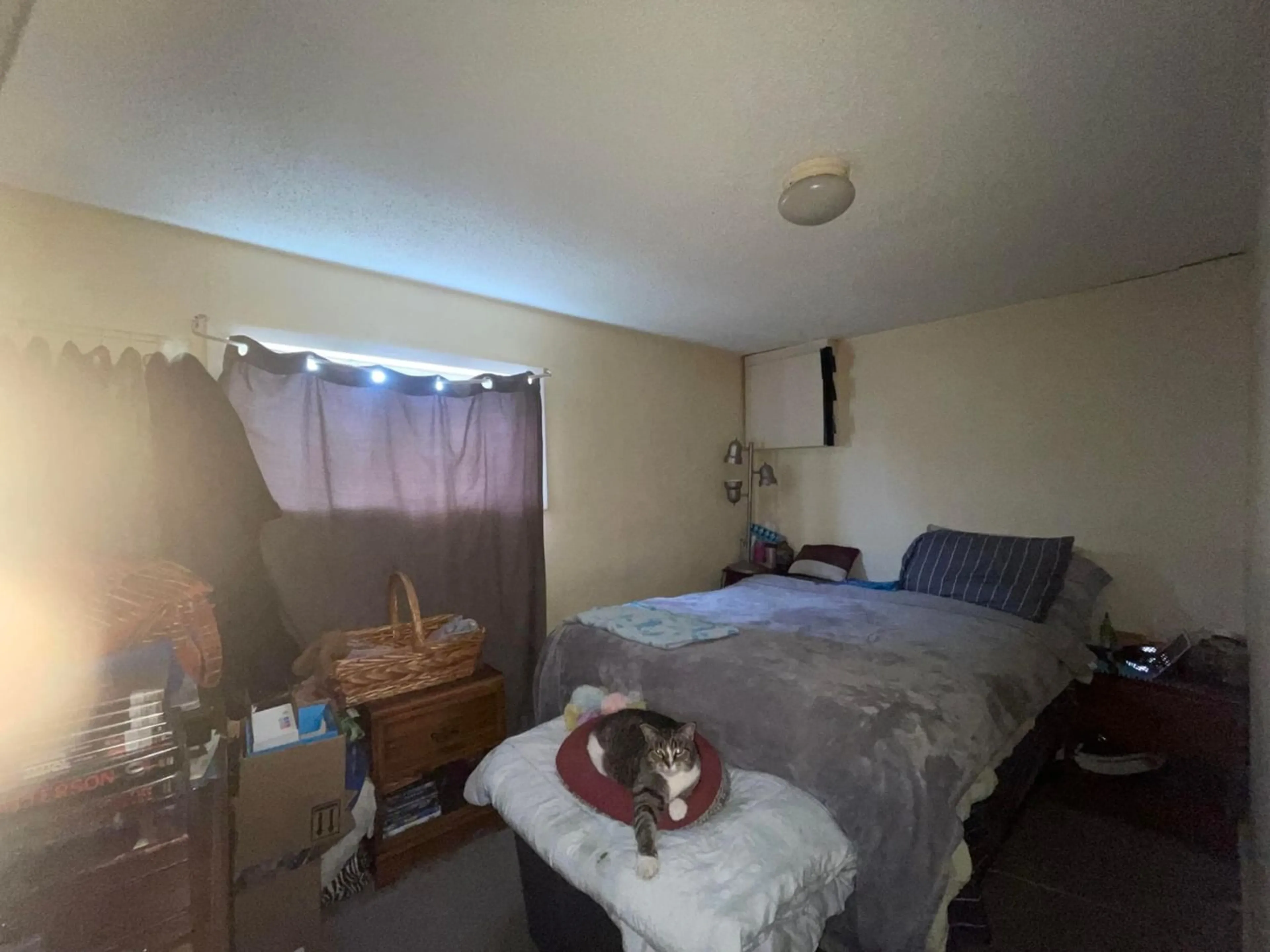 A pic of a room, unknown floor for 222 - 224 VAN HORNE  S Street, Cranbrook British Columbia V1C1Z4