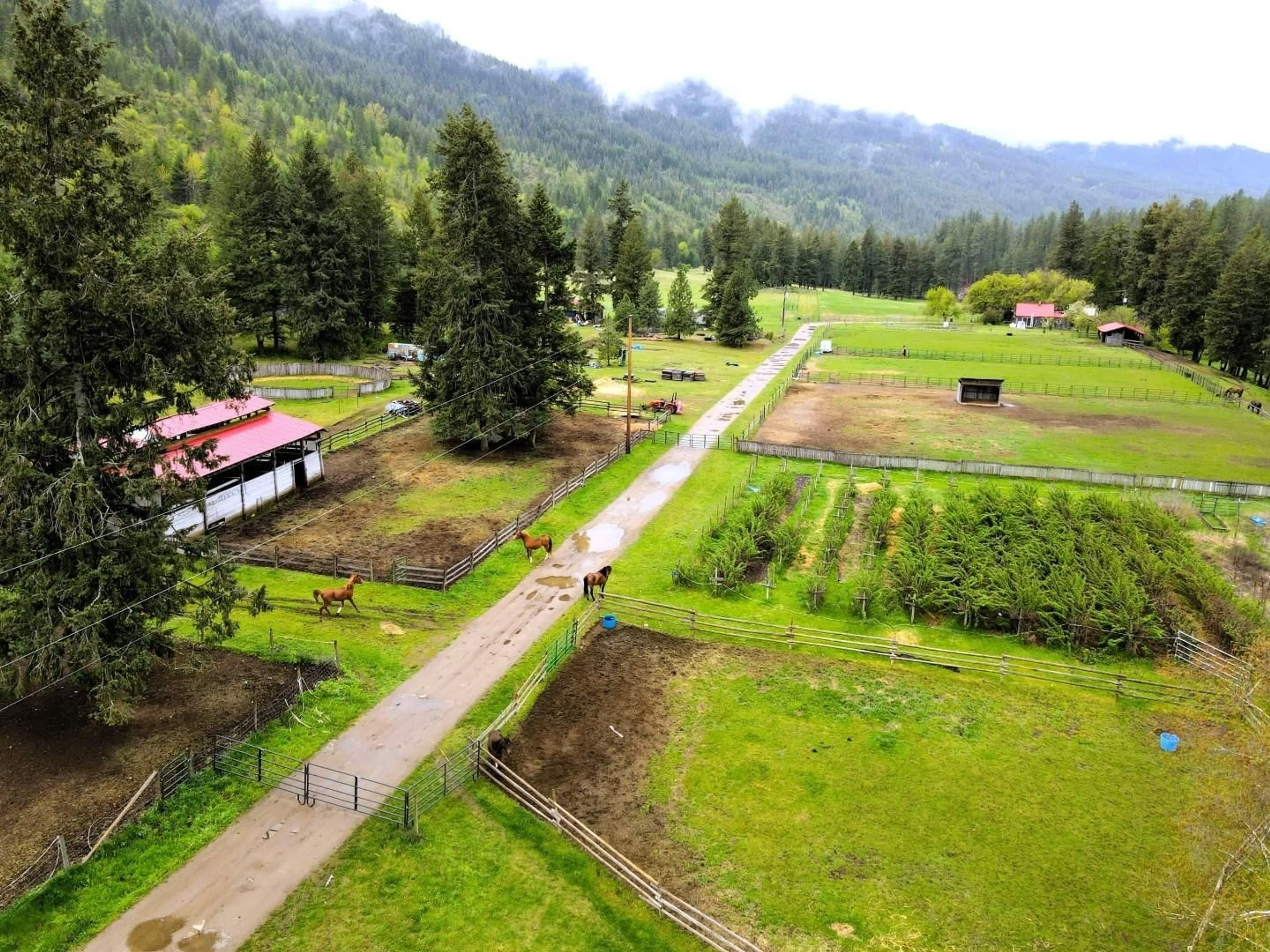 Patio, the street view for 855 PONDEROSA Drive, Christina Lake British Columbia V0H1E0