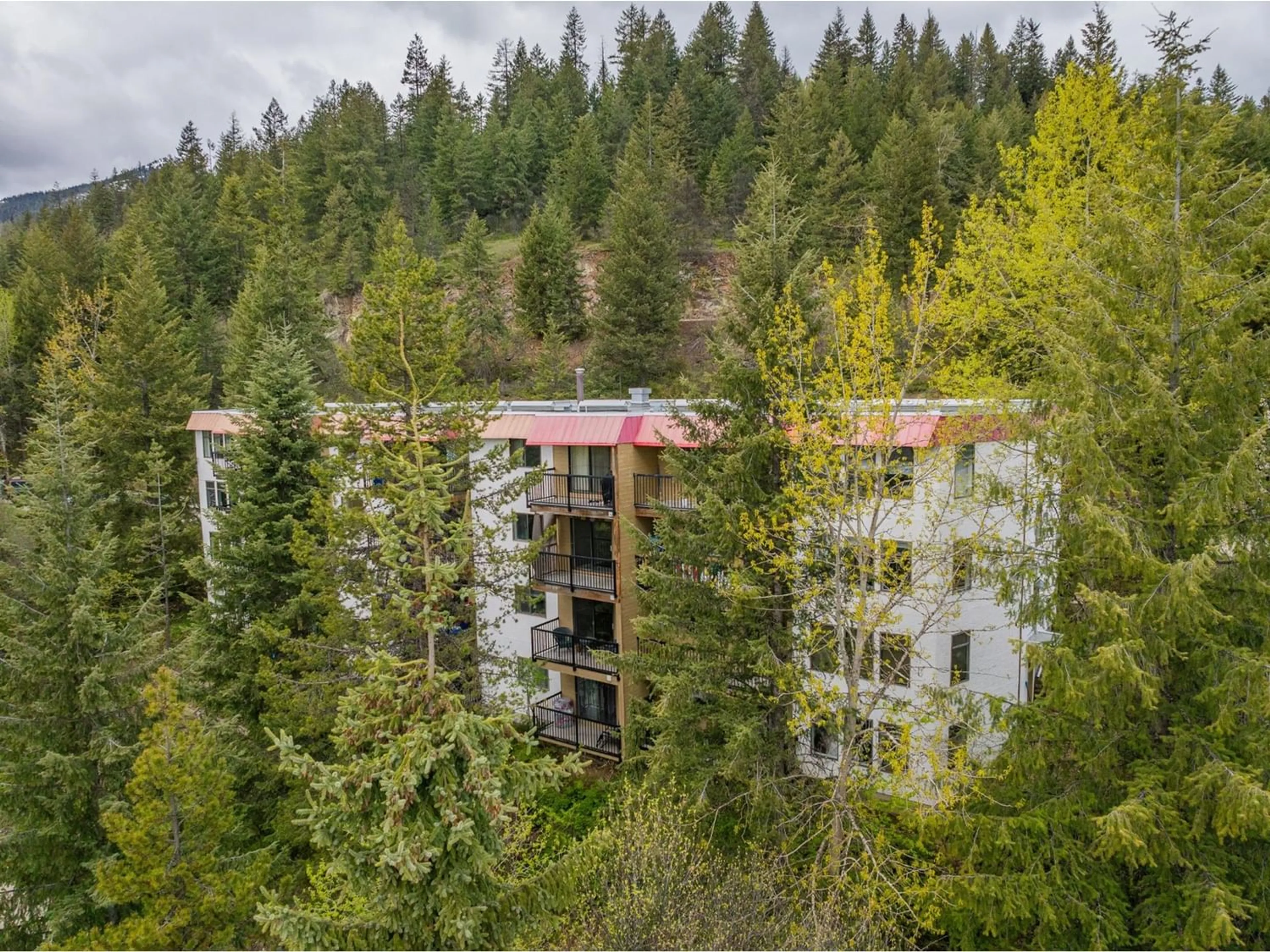 Forest view for 303 - 1510 NICKLEPLATE ROAD, Rossland British Columbia V0G1Y0