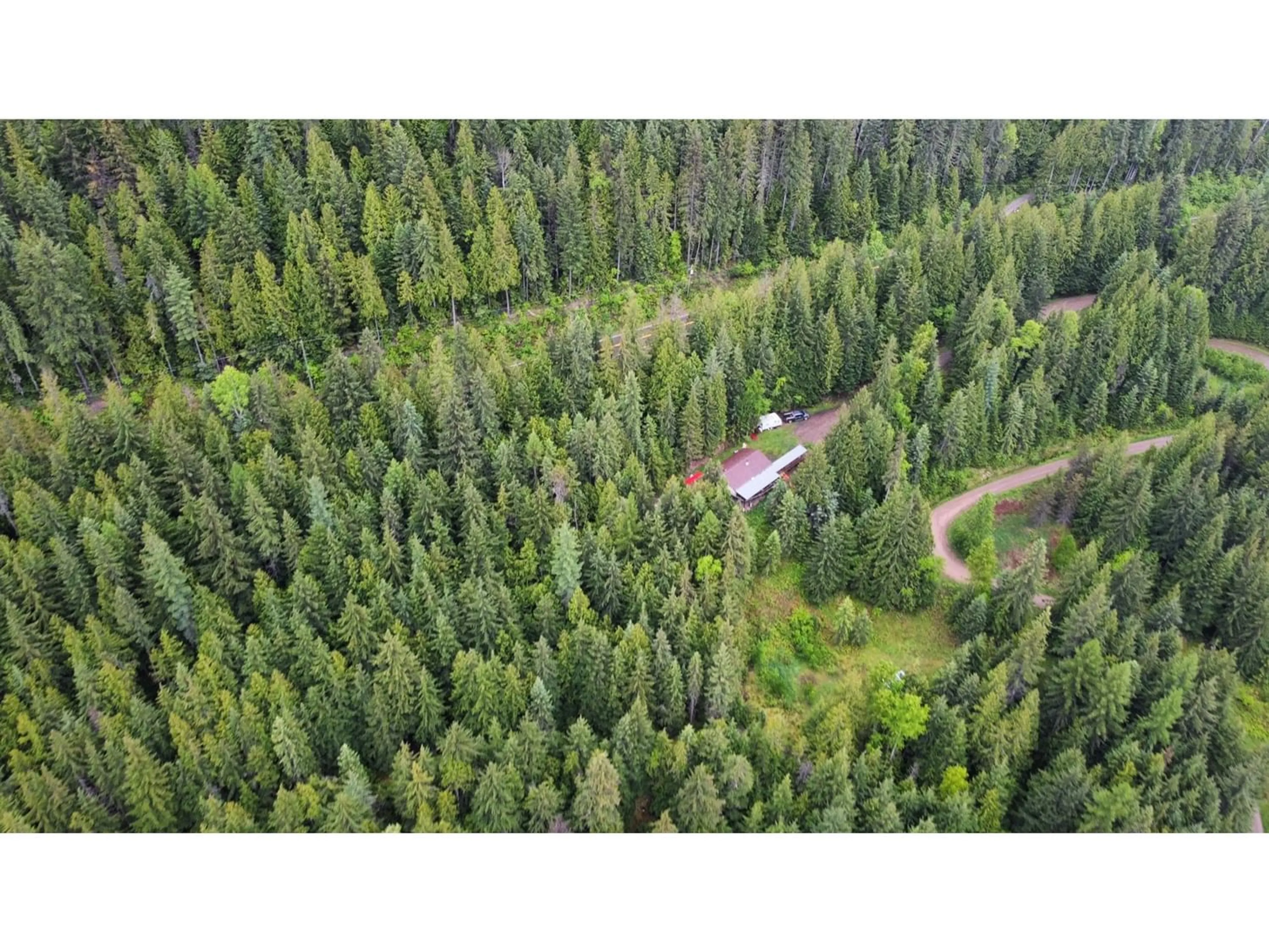 Forest view for 8749 HIGHWAY 6, Silverton British Columbia V0G1S1