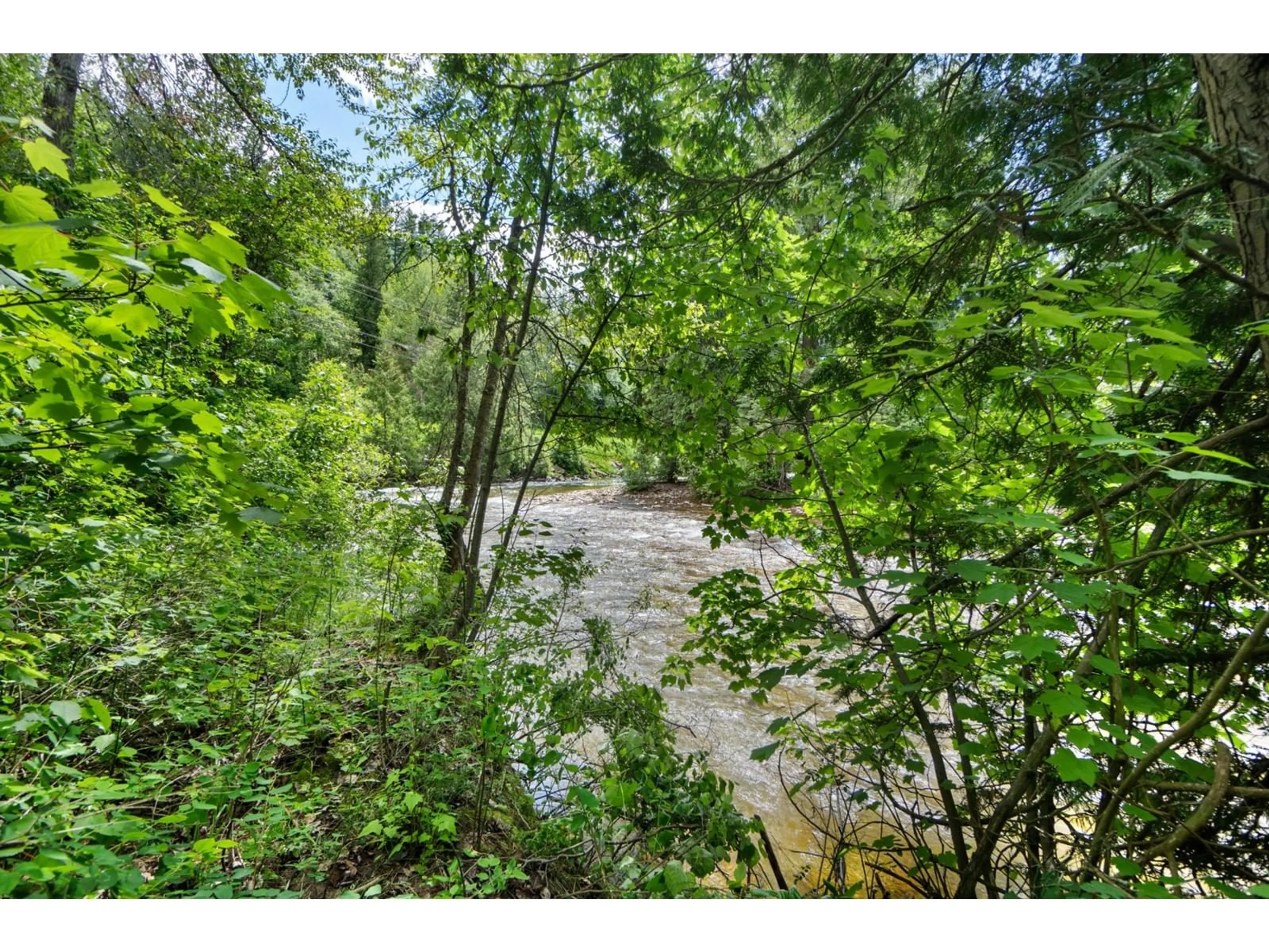 Forest view for 1754 PASS CREEK ROAD, Castlegar British Columbia V1N4S5
