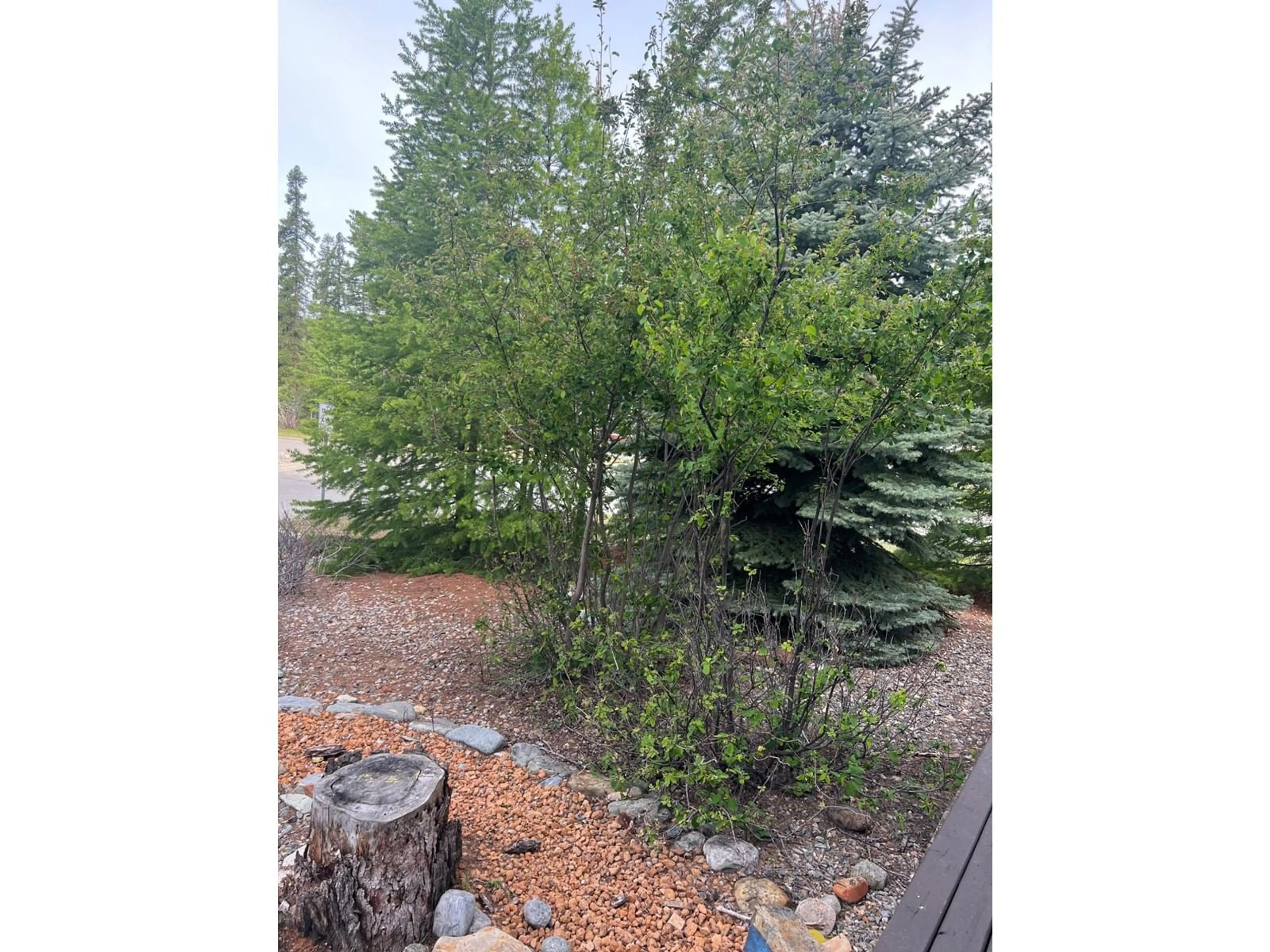 Forest view for 202 FOREST CROWNE CLOSE, Kimberley British Columbia V1A3N2