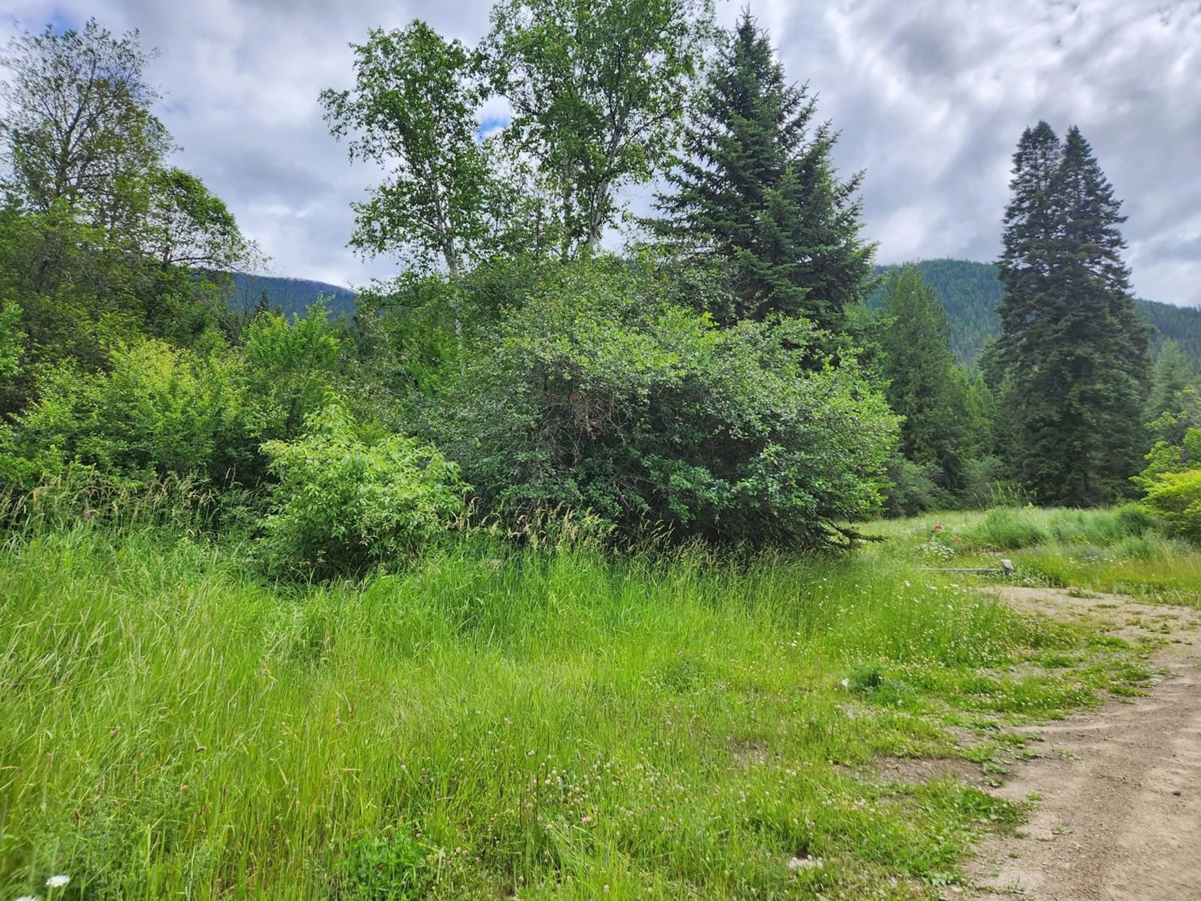 Forest view for 7046 PERRY'S VILLAGE ROAD, Winlaw British Columbia V0G2J0