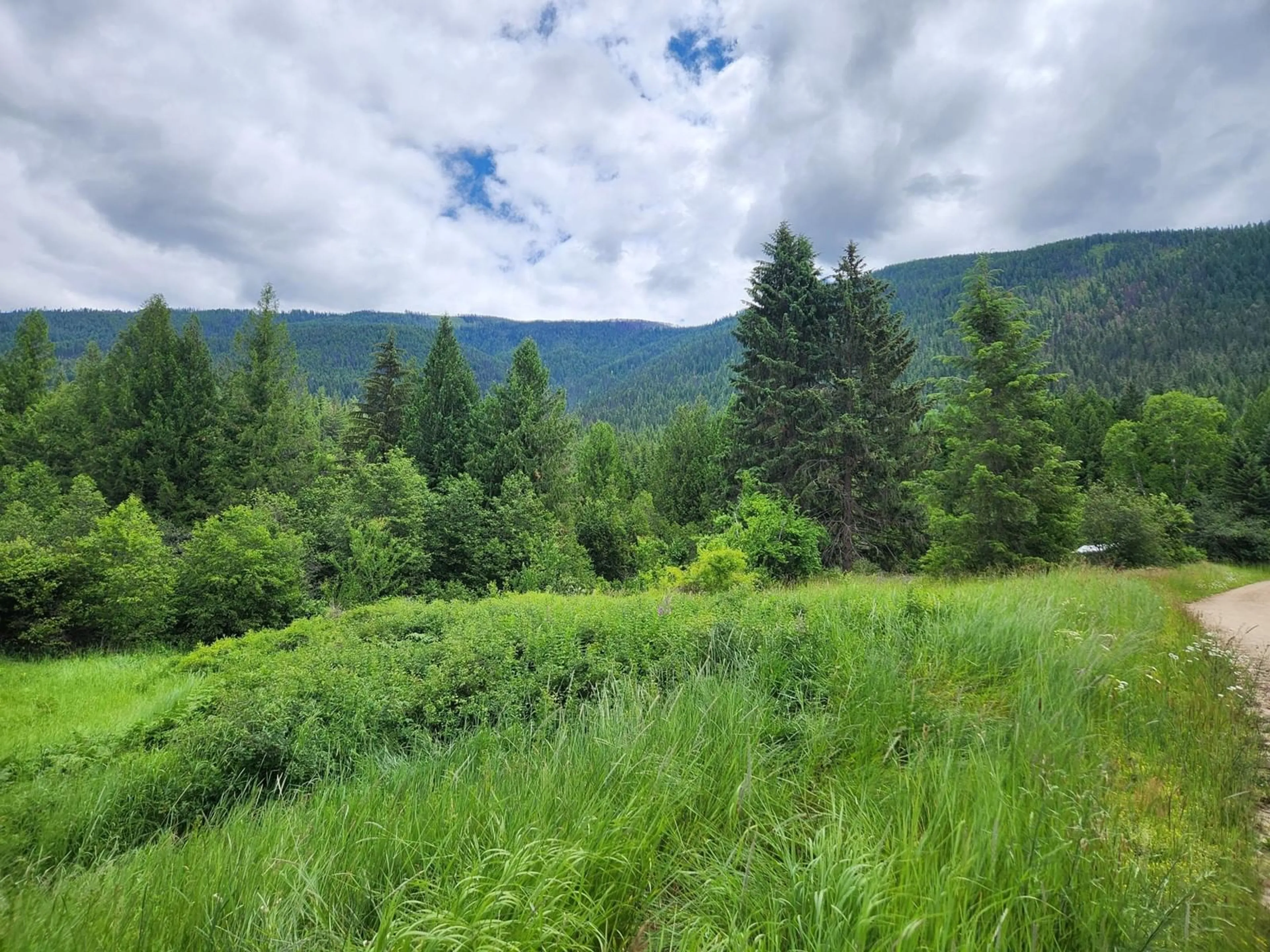 Forest view for 7046 PERRY'S VILLAGE ROAD, Winlaw British Columbia V0G2J0
