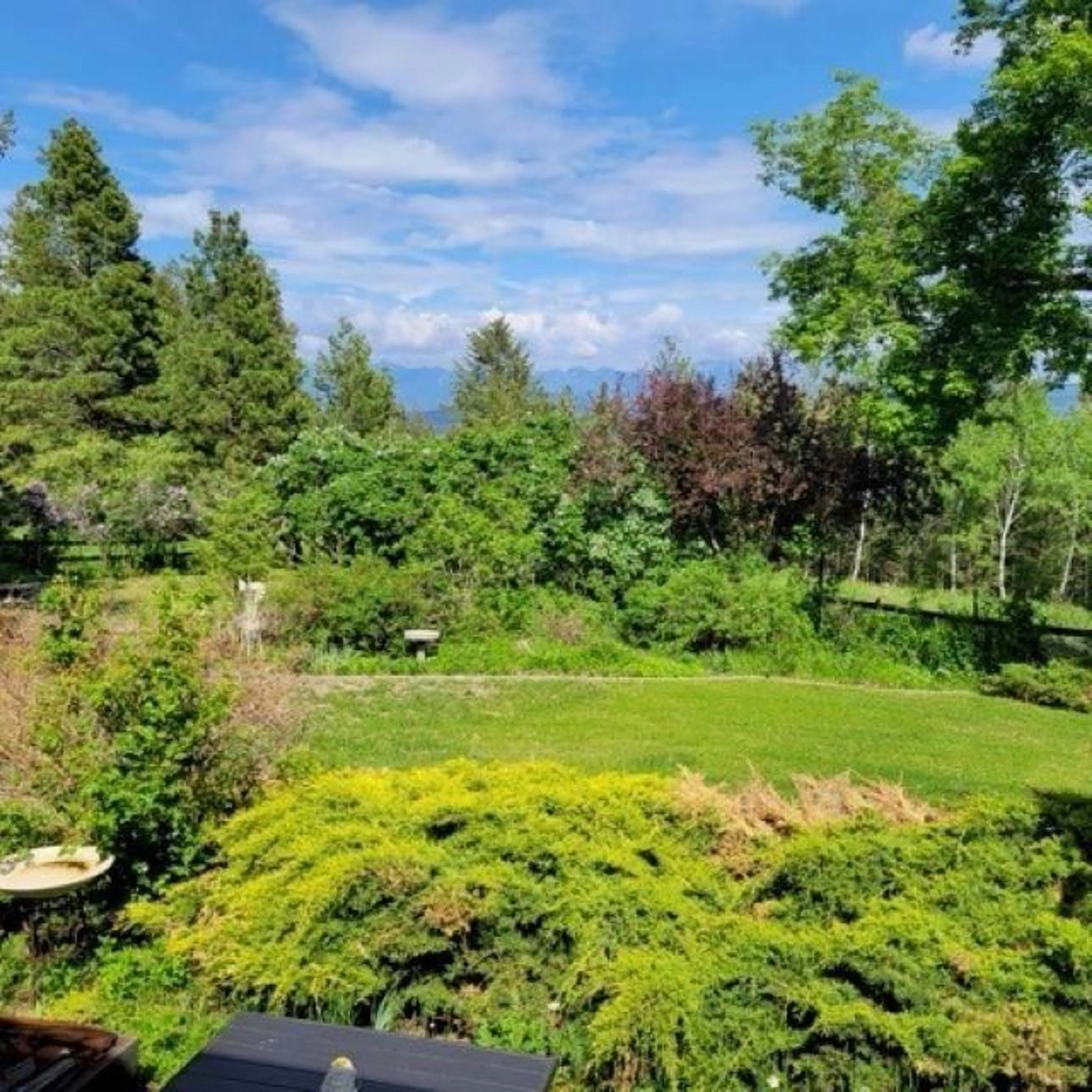 A pic from exterior of the house or condo, the fenced backyard for 380 IVY Road, Cranbrook British Columbia V1C6W6