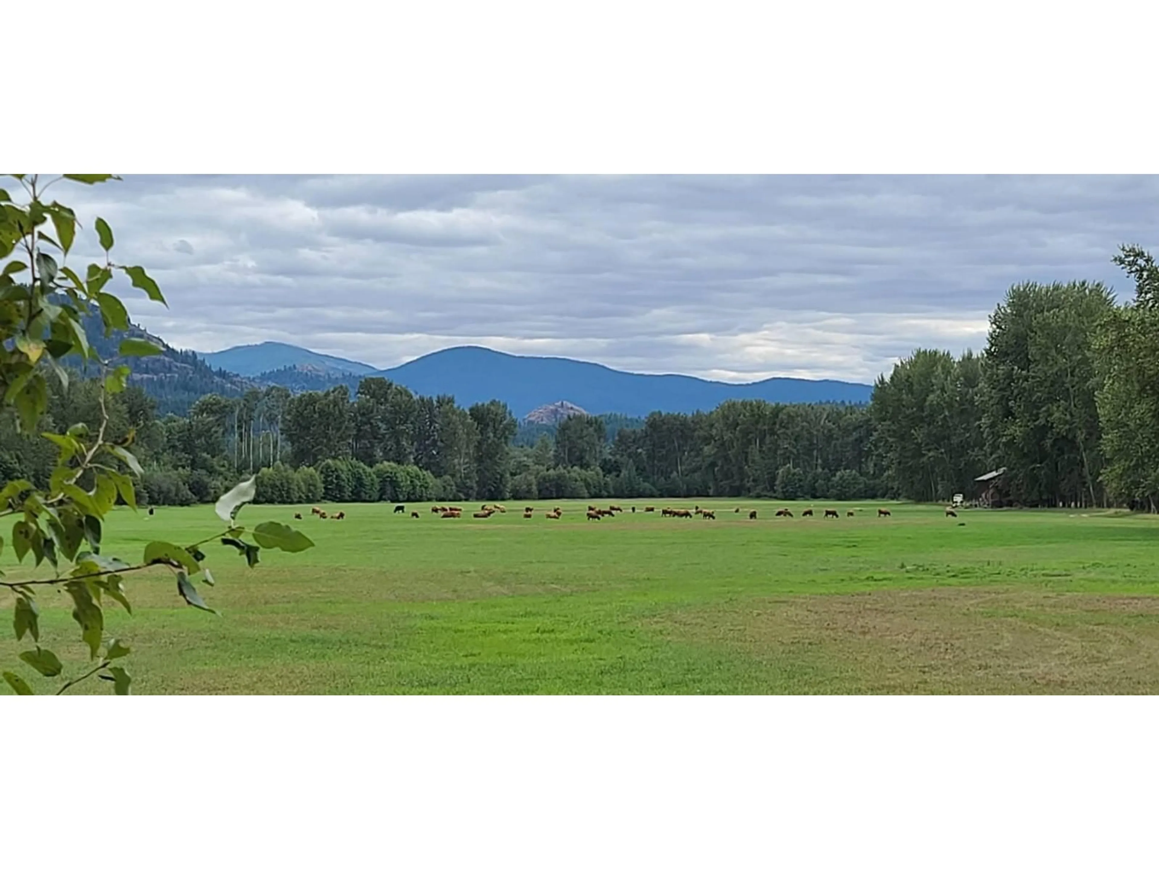 Patio, the view of mountain for 11501 NORTH FORK Road, Grand Forks British Columbia V0H1H0