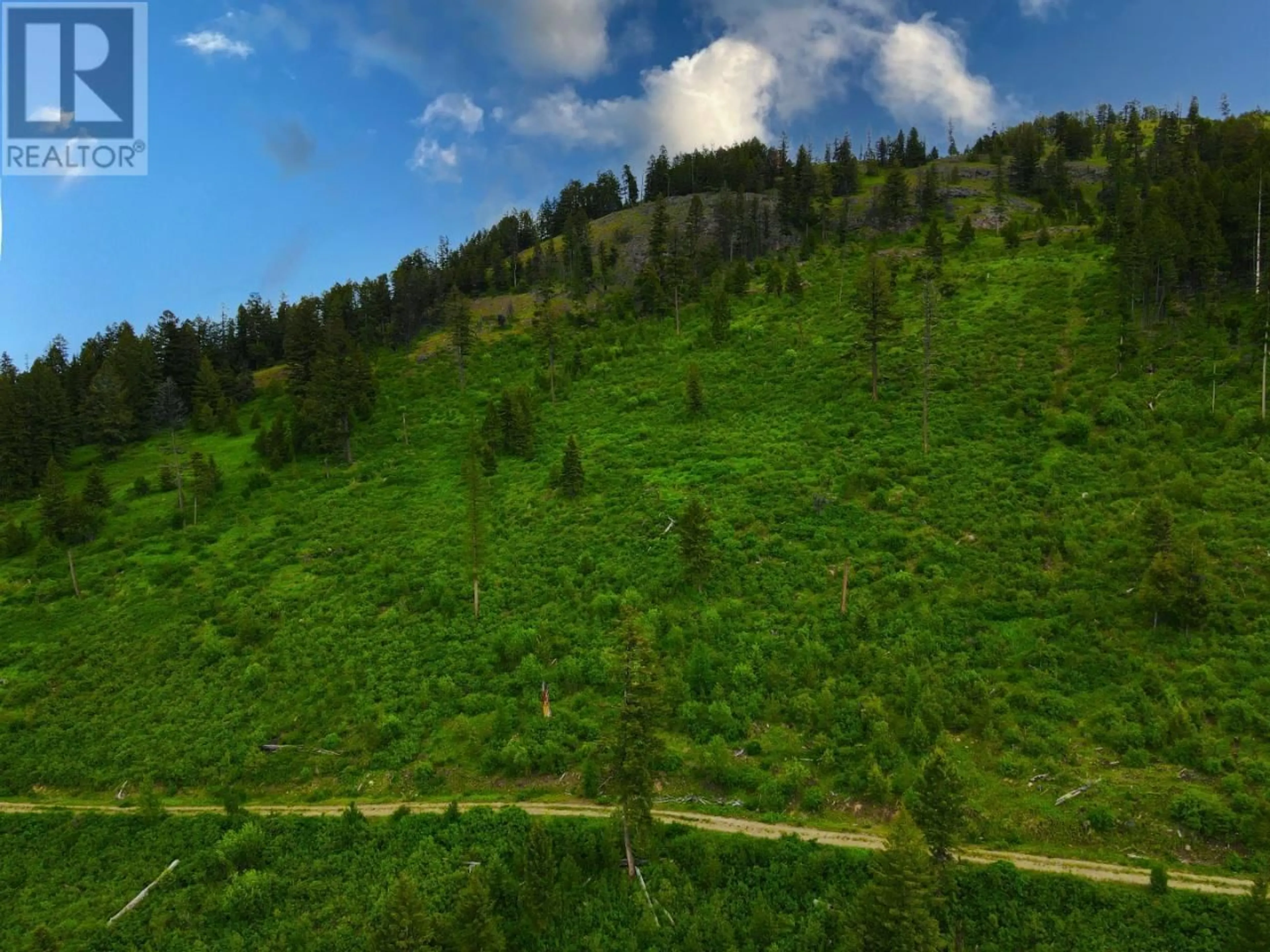Unknown for 1740 JOLLY JACK ROAD, Greenwood British Columbia V0H1J0