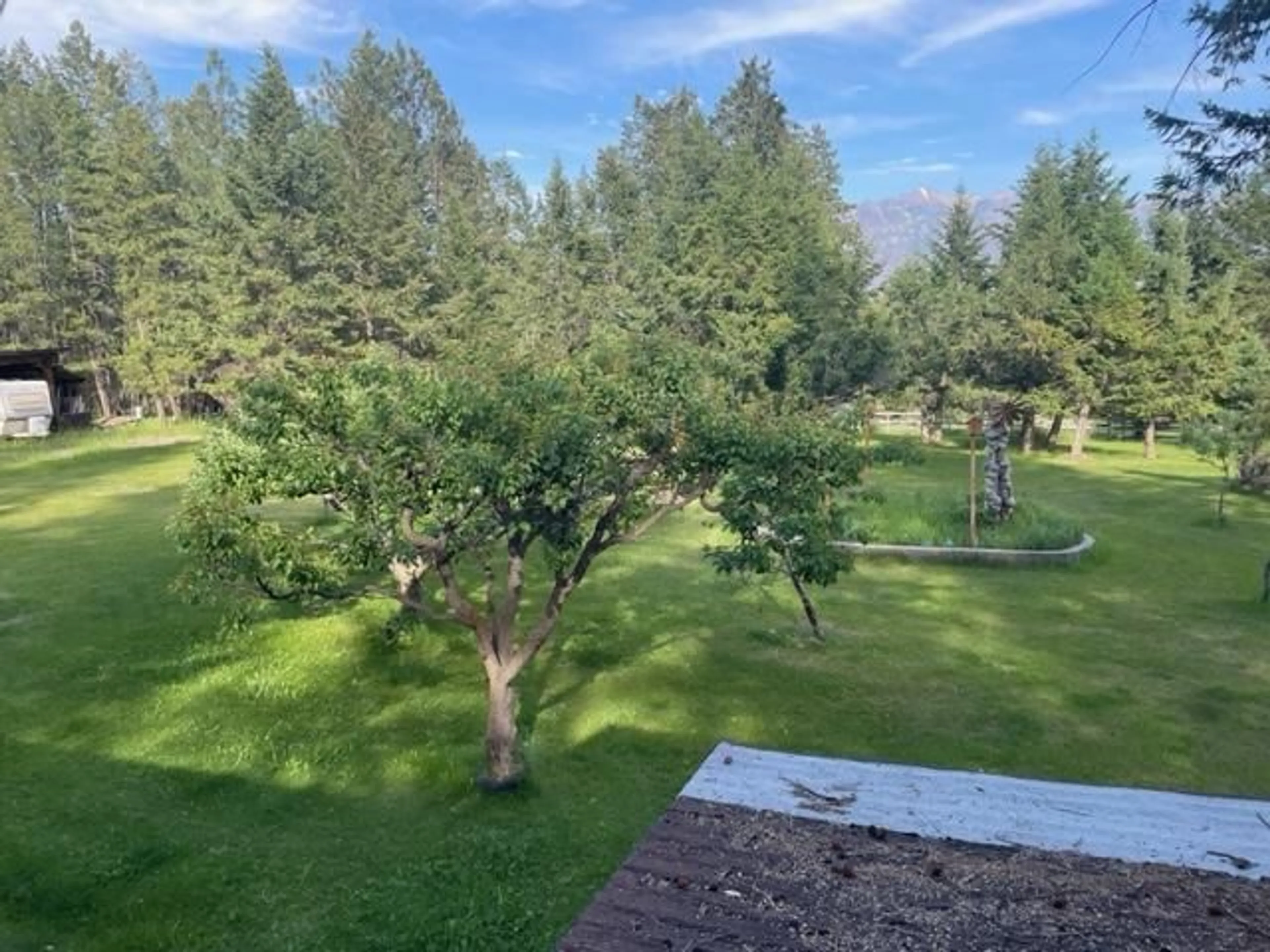 Patio, the fenced backyard for 4007 GADSBY Road, Ta Ta Creek British Columbia V0B2K0