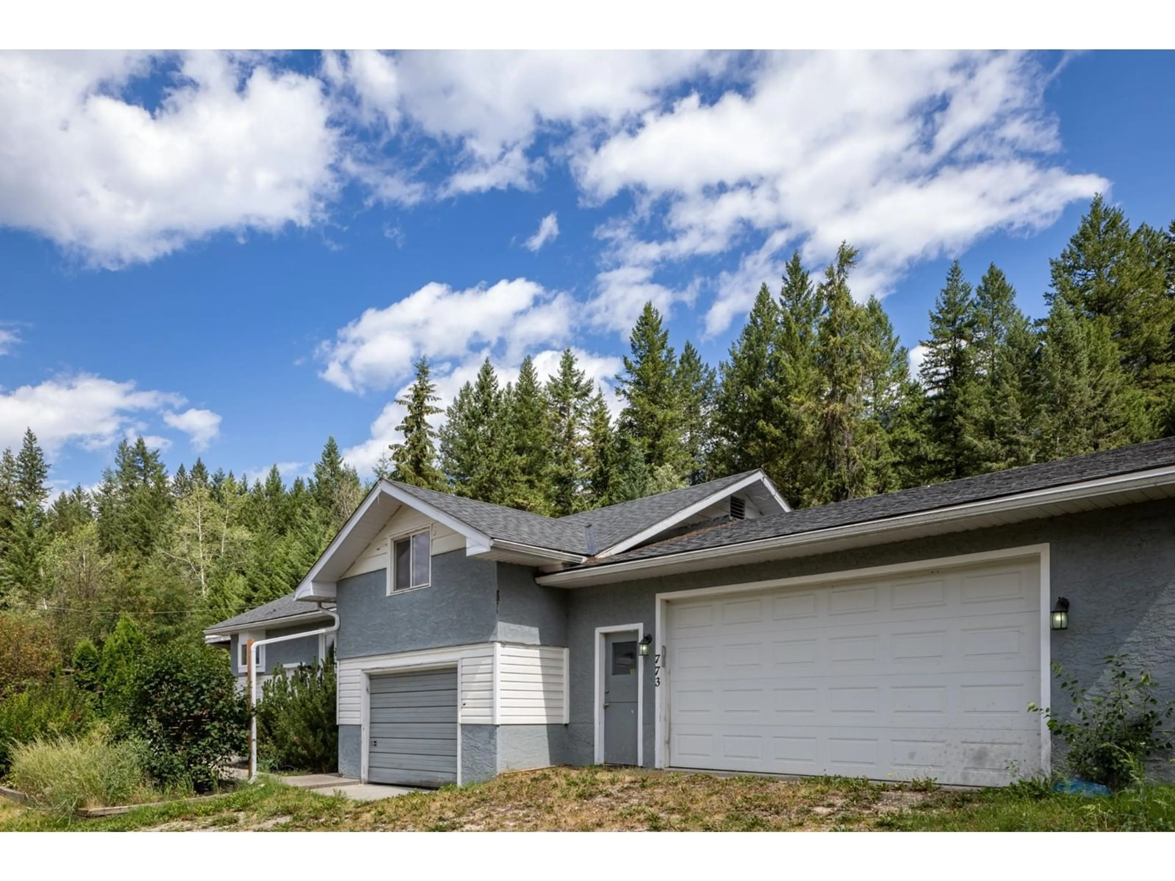 Frontside or backside of a home, cottage for 773 NICHOLSON Road, Golden British Columbia V0A1H2