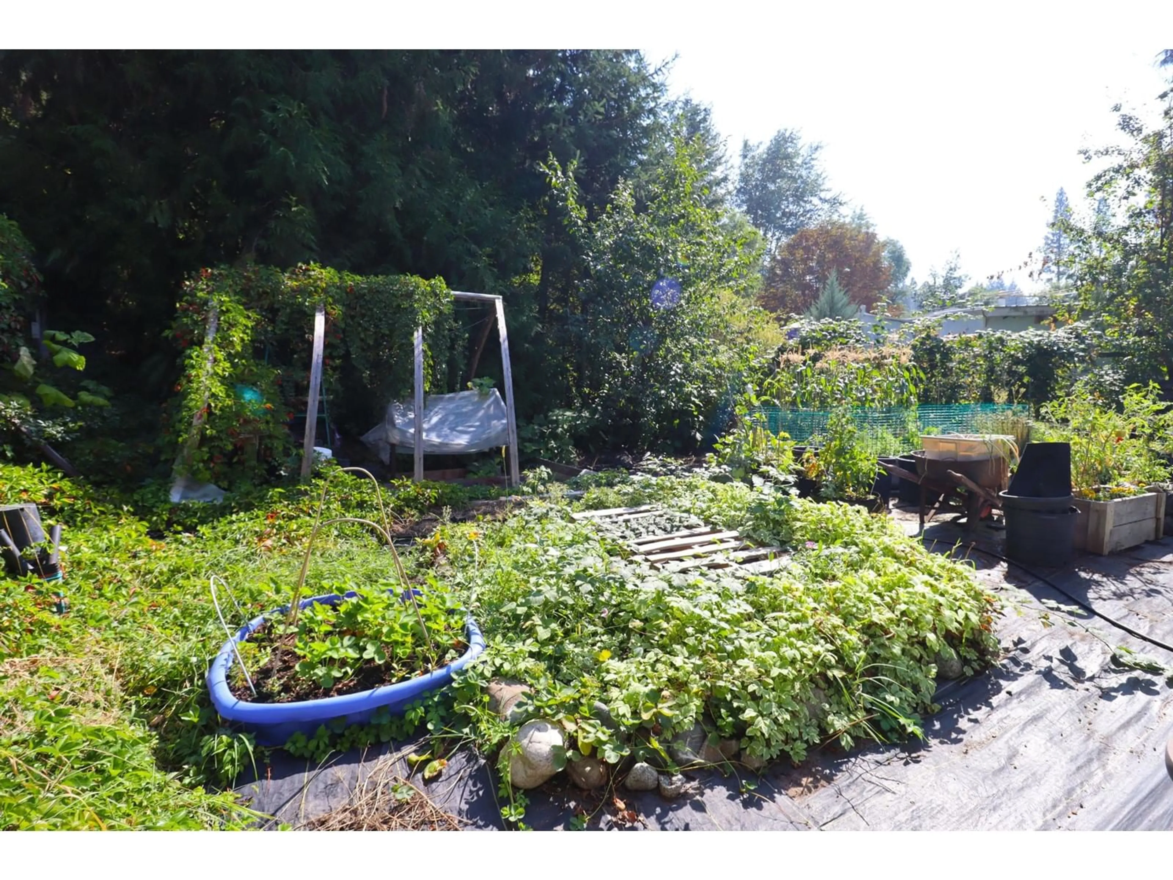 Patio, the fenced backyard for 1680 CHANDLER Road, Christina Lake British Columbia V0H1E0