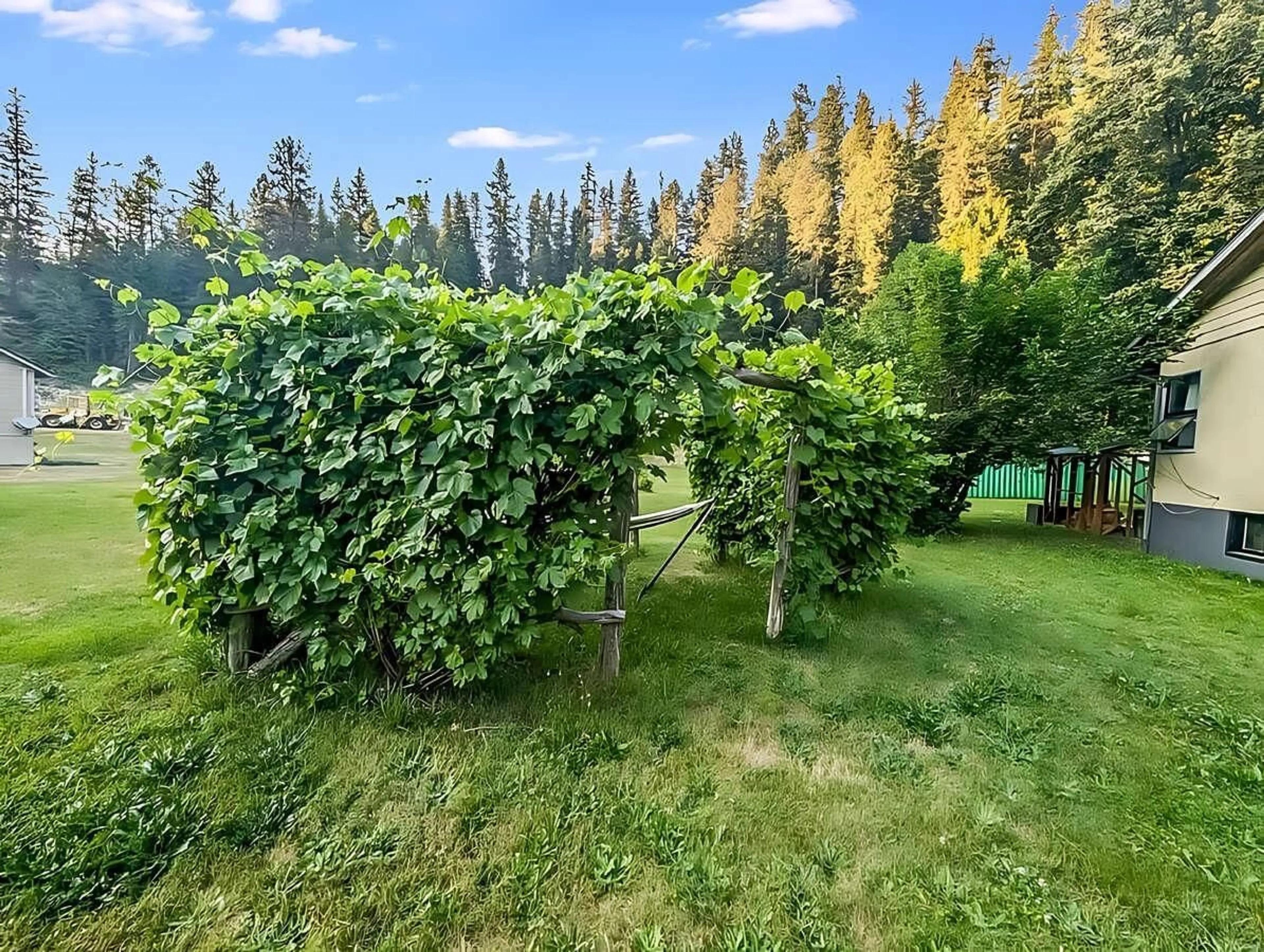 Patio, the fenced backyard for 2398 CUNNINGHAM Road, Nelson British Columbia V0G2E0