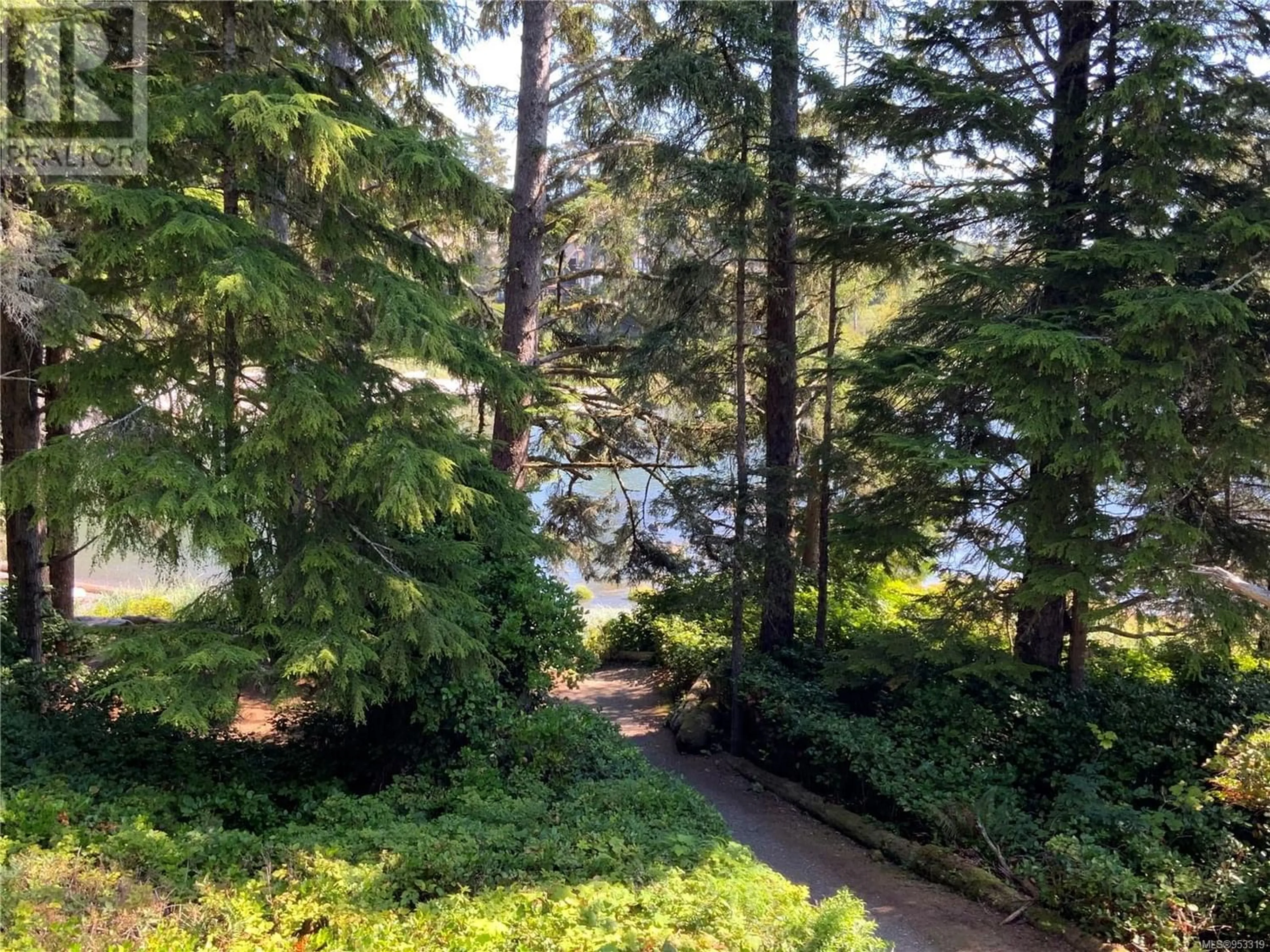 Forest view for 1704 596 Marine Dr, Ucluelet British Columbia V0R3A0