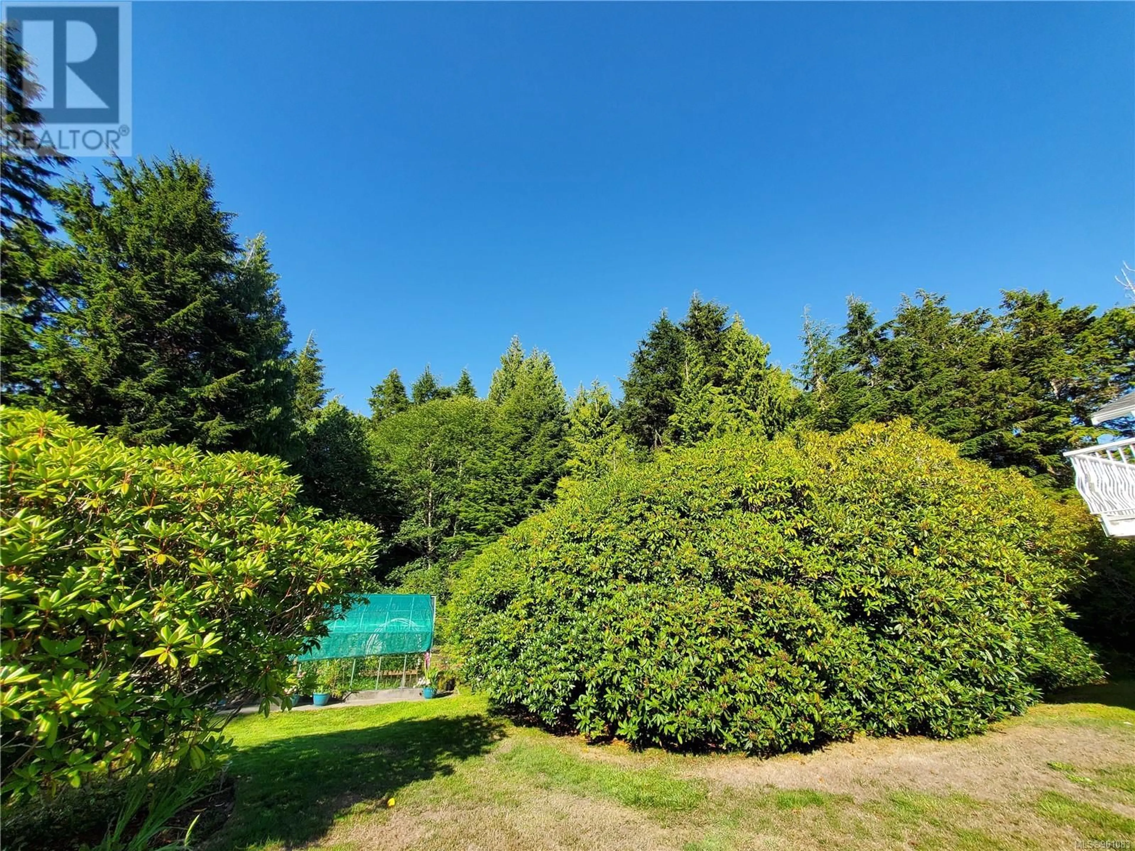 Forest view for 270 Cedar St, Tofino British Columbia V0R2Z0